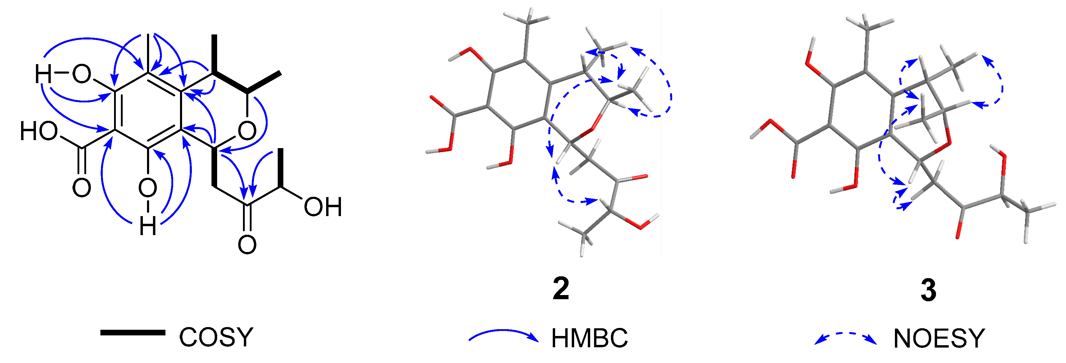 Marinedrugs 21 00538 g004
