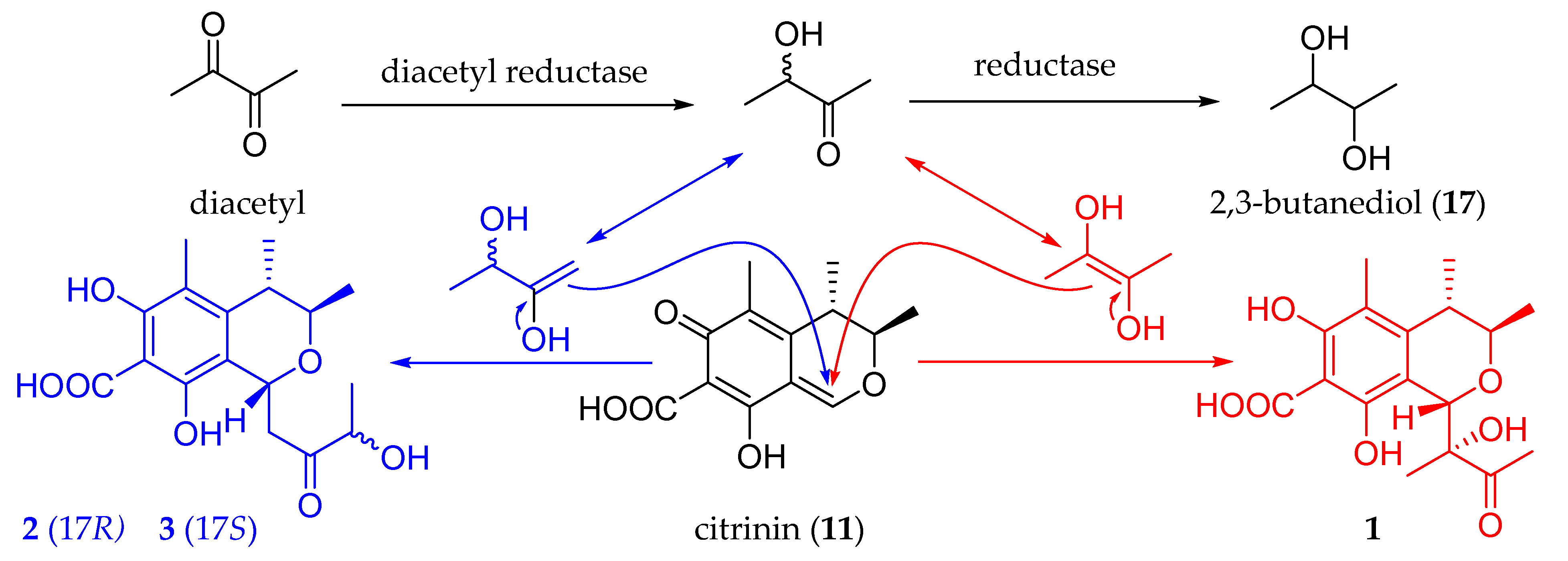 Marinedrugs 21 00538 sch001