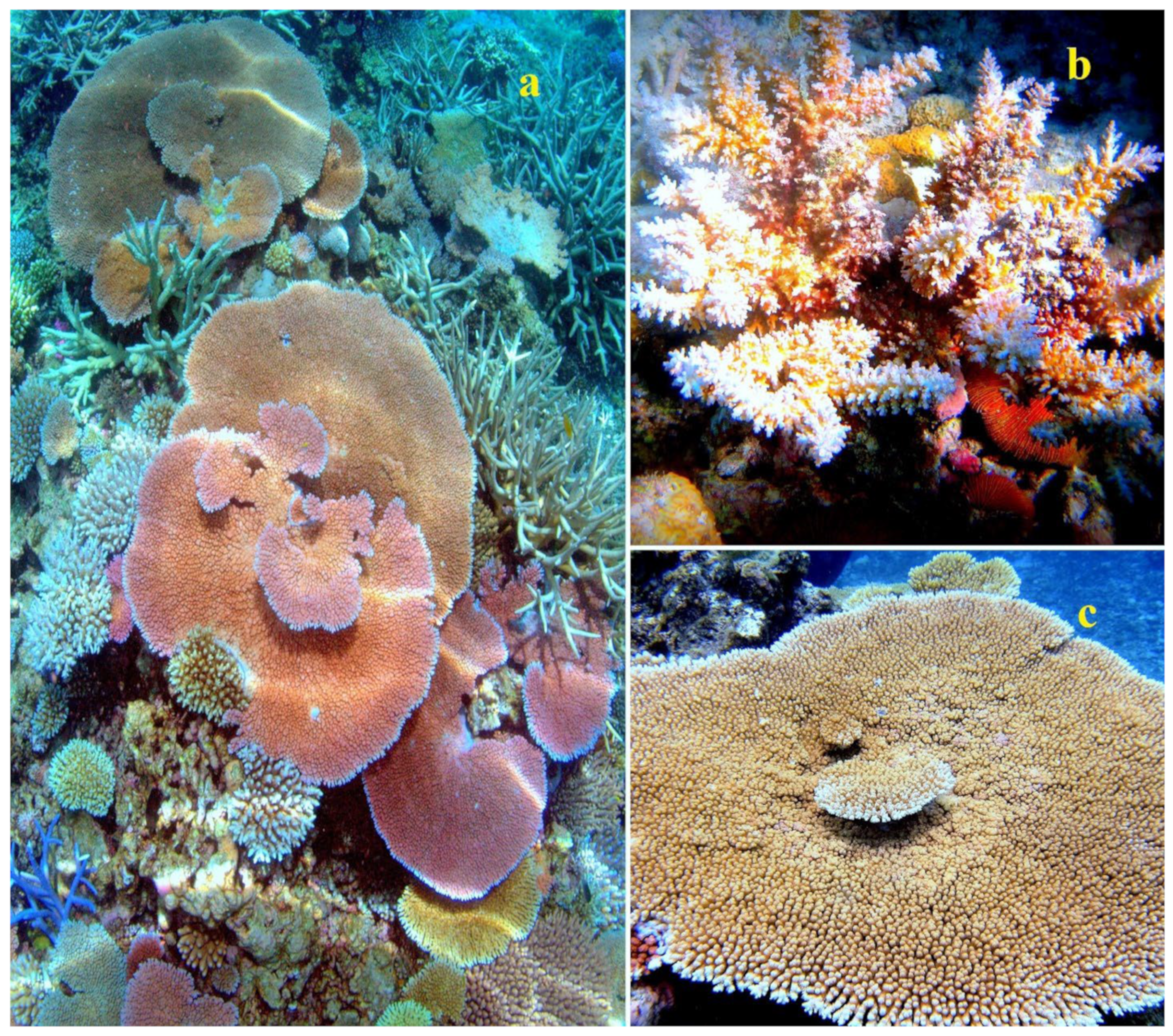 Marinedrugs 21 00539 g001