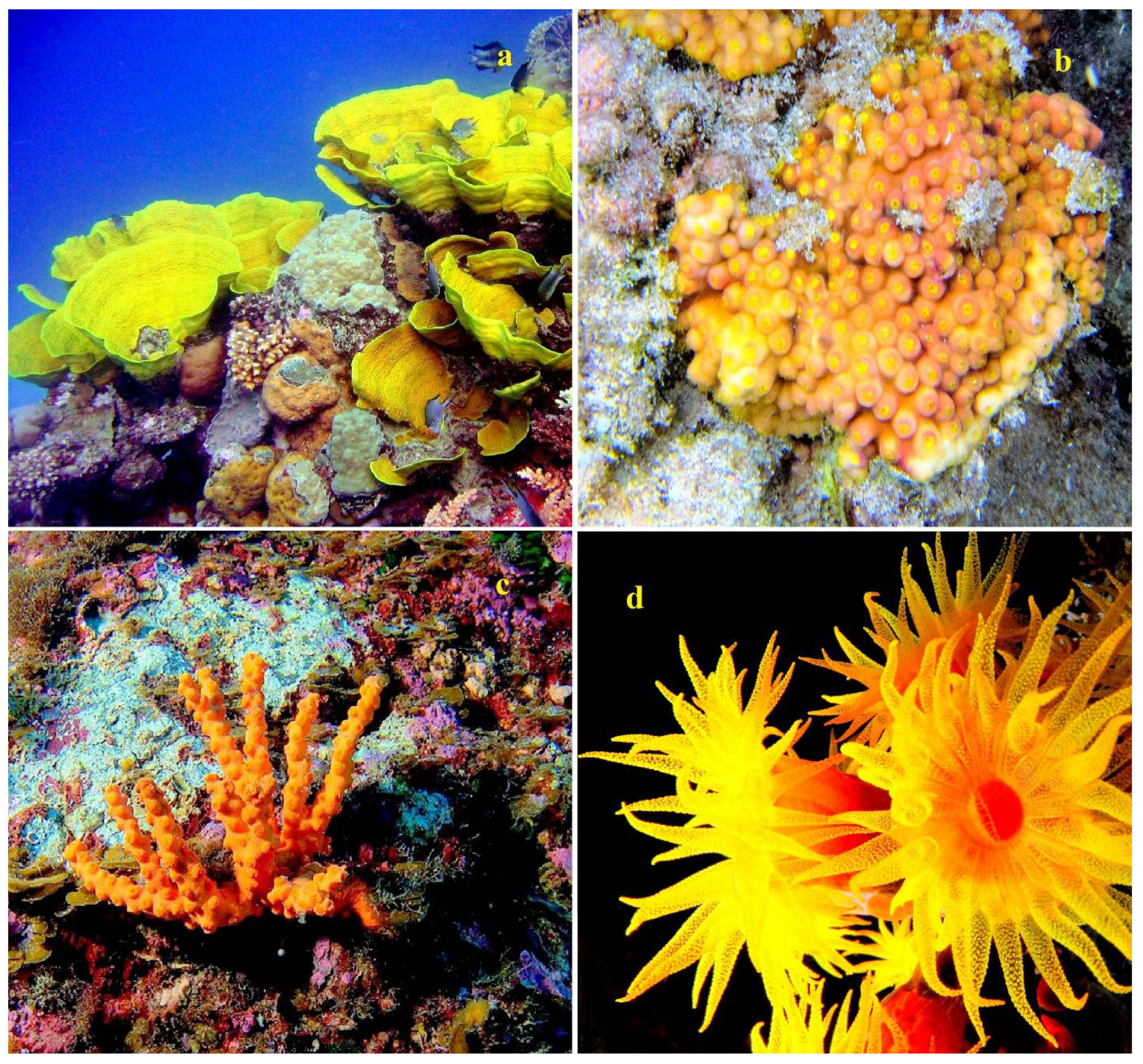 Marinedrugs 21 00539 g002