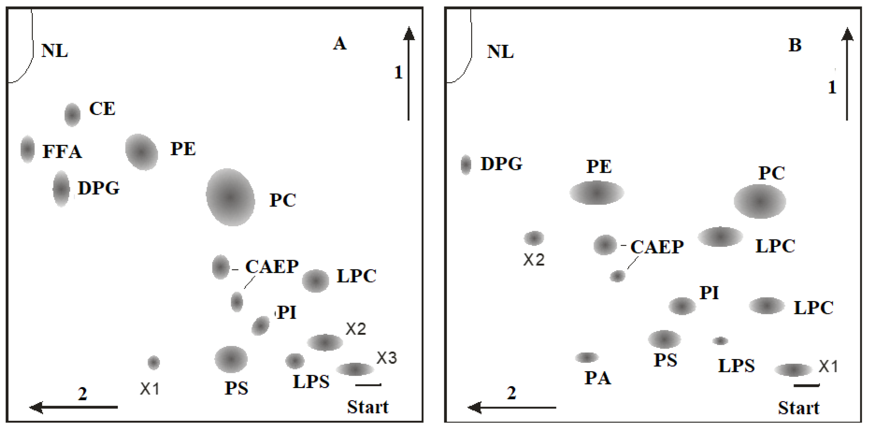 Marinedrugs 21 00539 g012