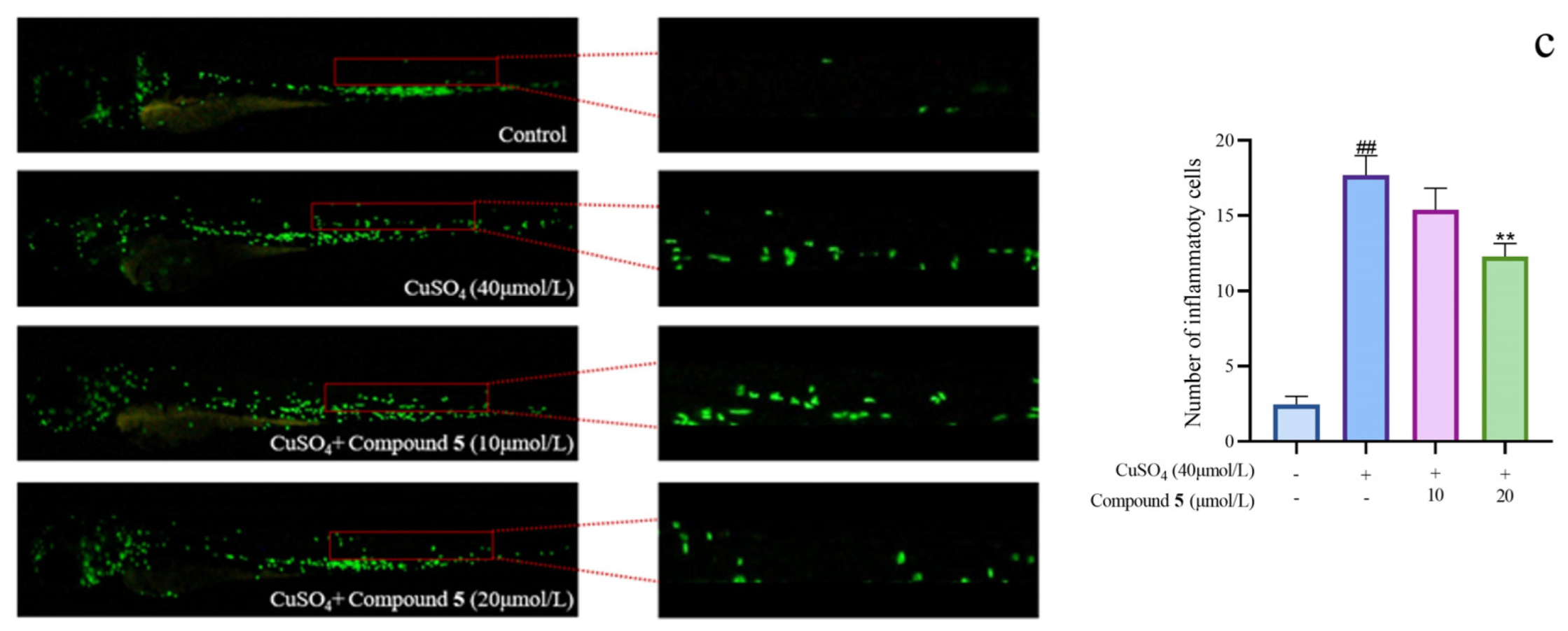 Marinedrugs 21 00541 g006b