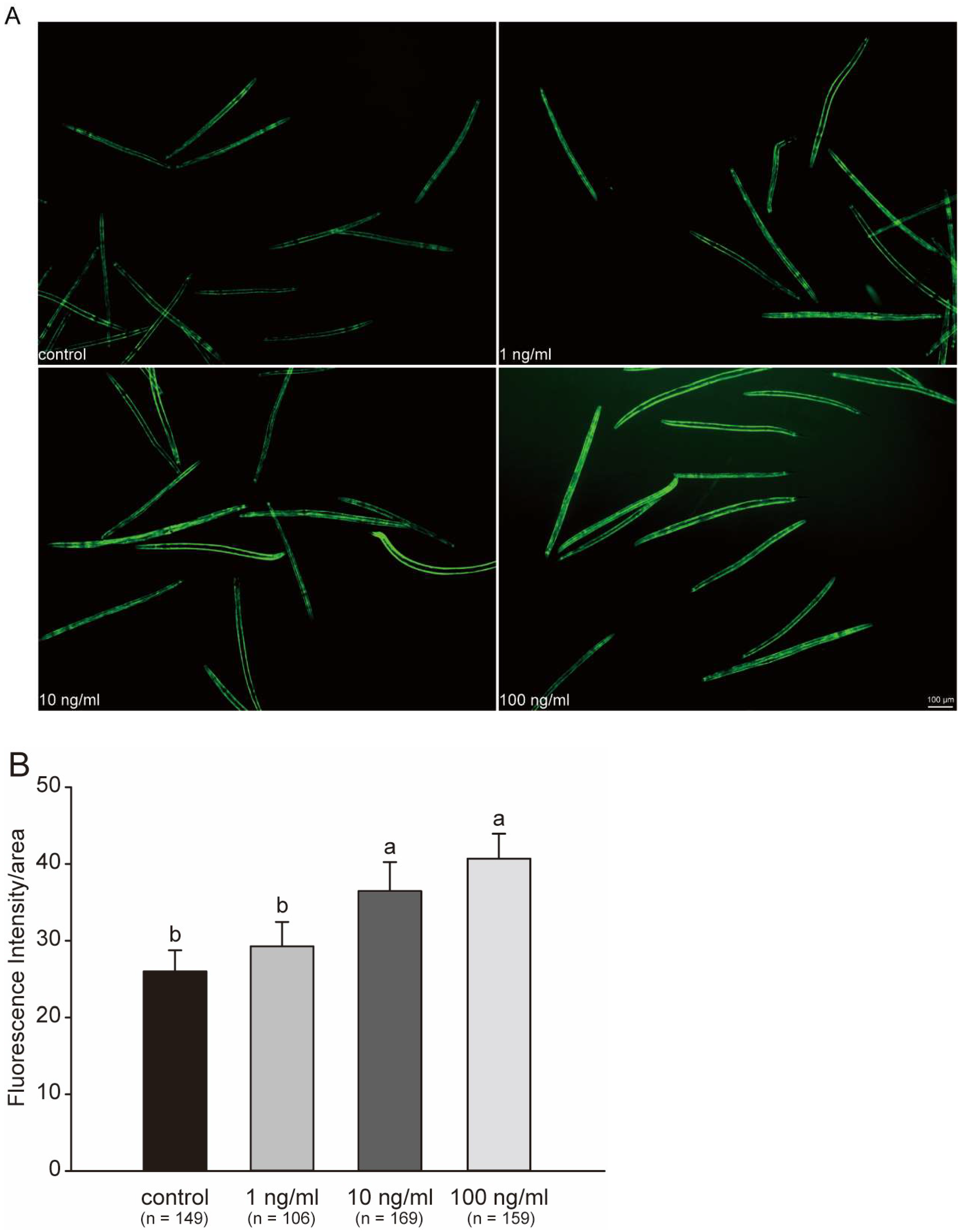 Marinedrugs 21 00544 g006 Marinedrugs 21 00544 g006