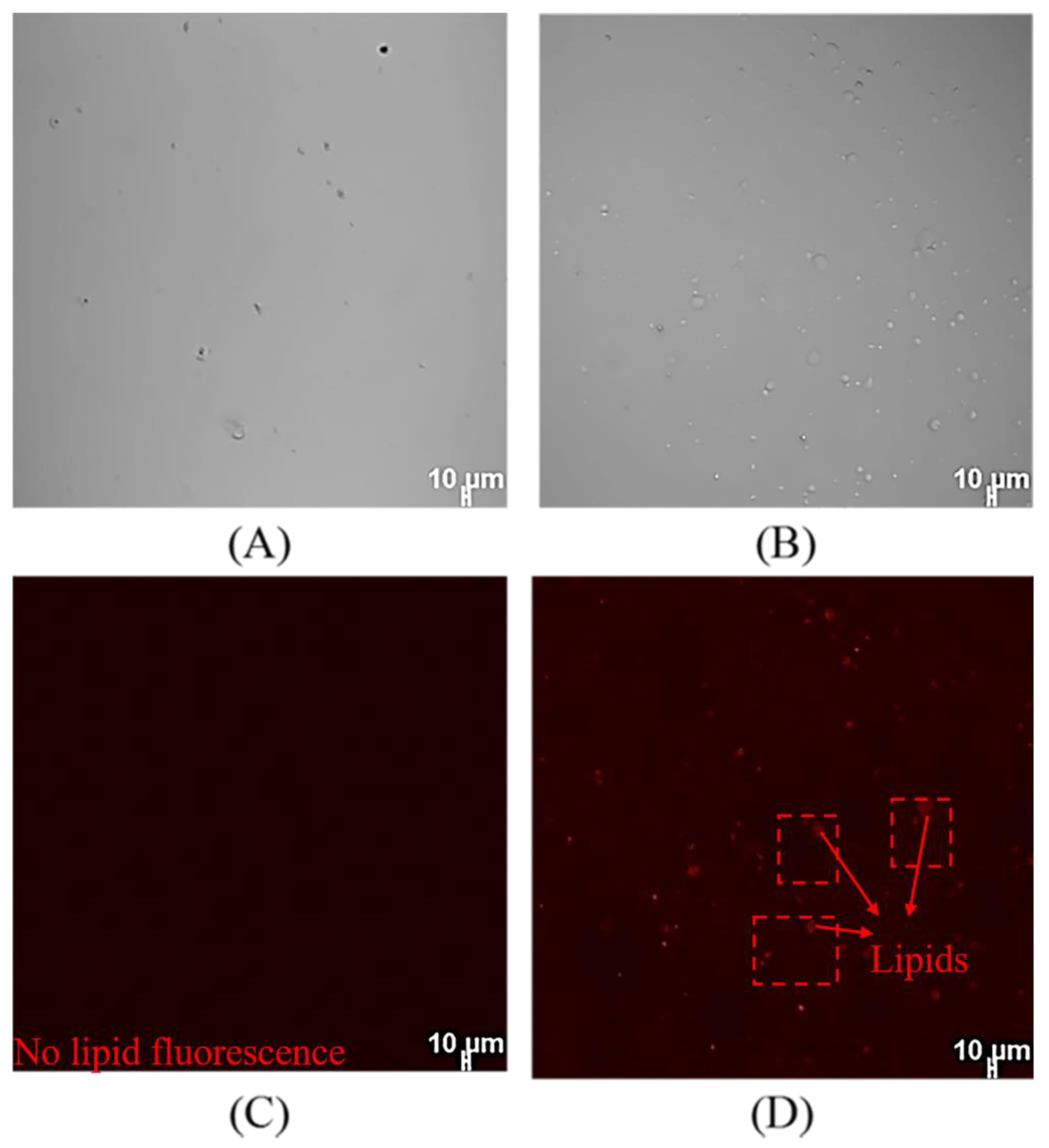 Marinedrugs 21 00546 g006