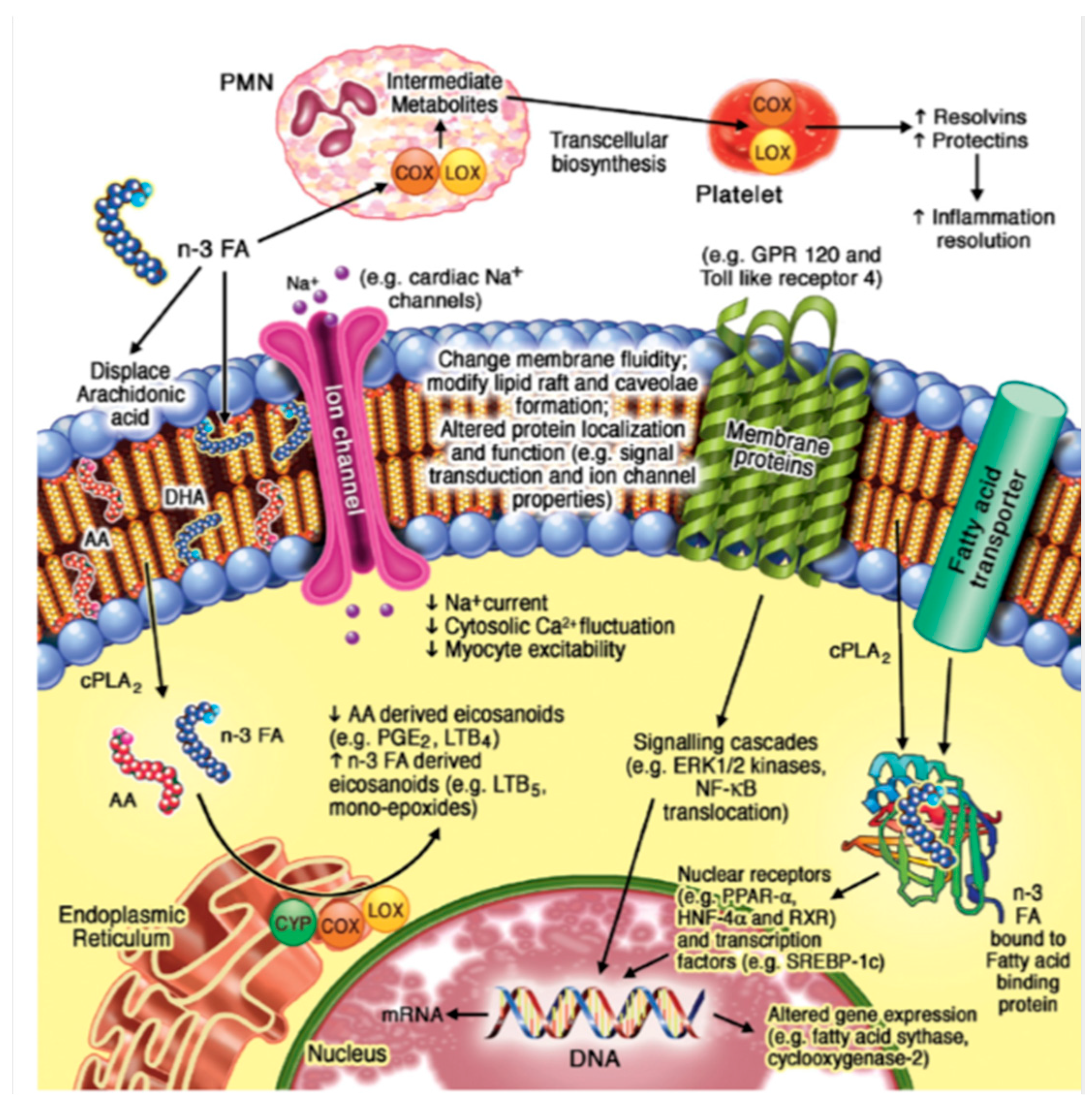 Marinedrugs 21 00549 g002