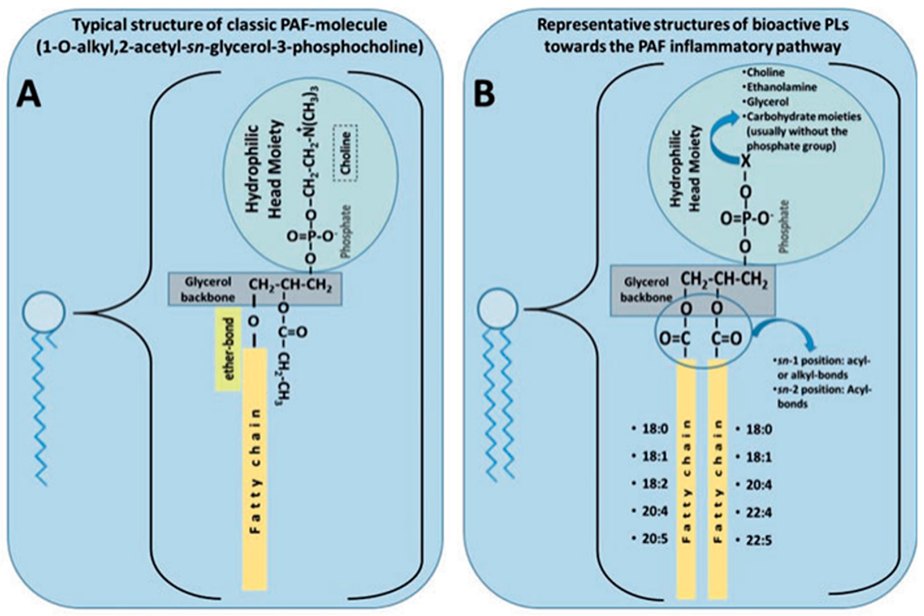 Marinedrugs 21 00549 g004