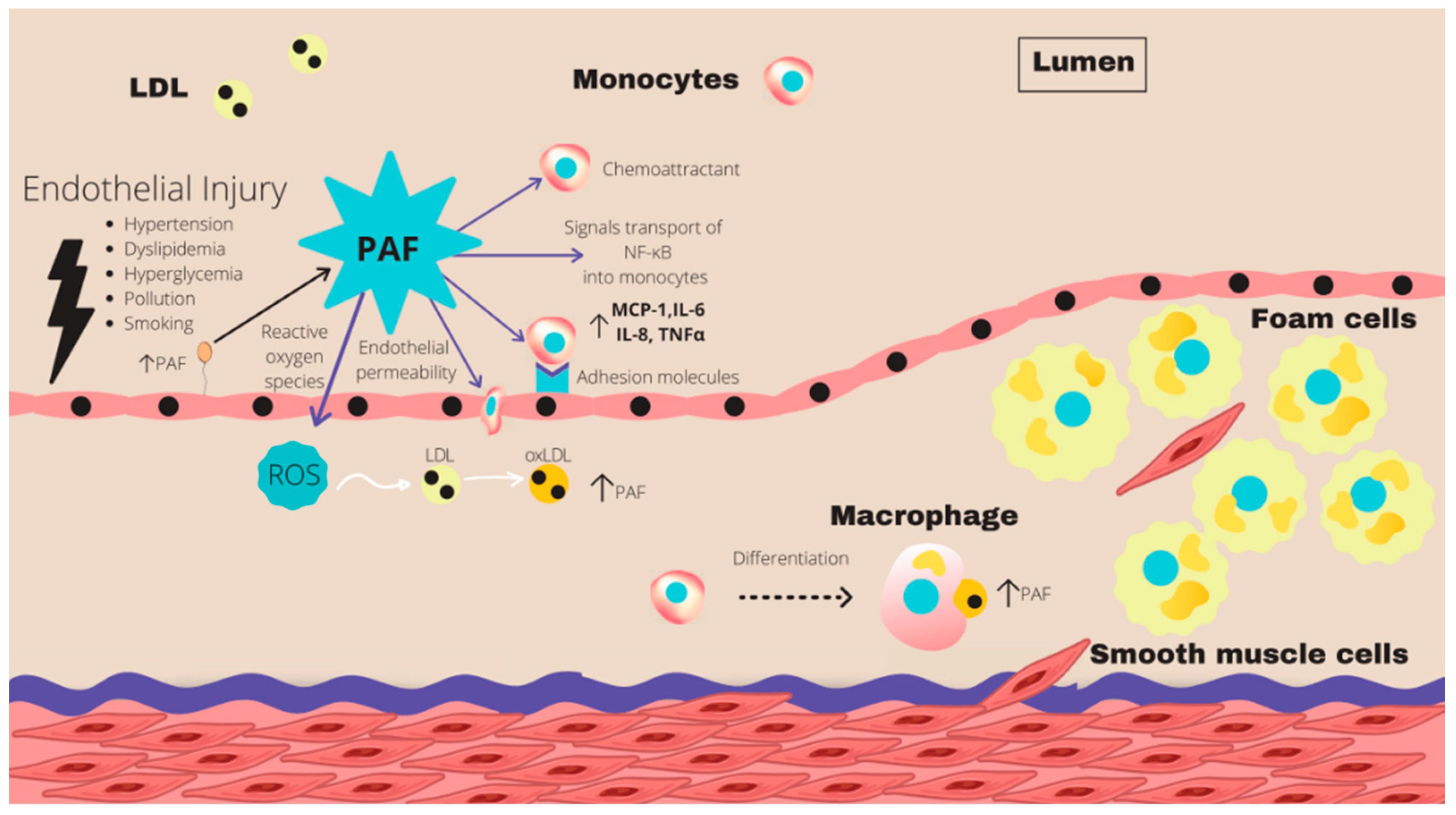 Marinedrugs 21 00549 g005