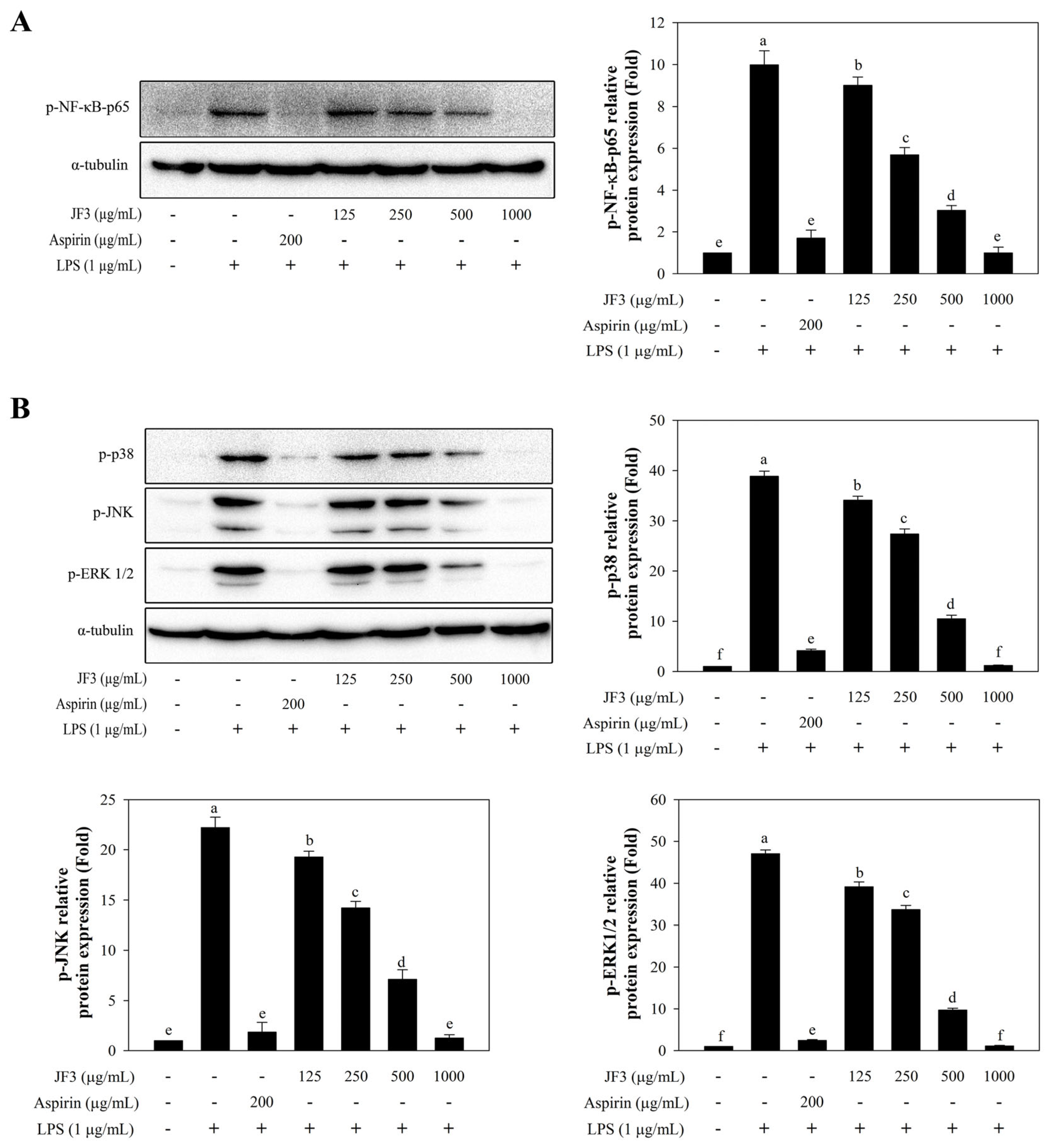 Marinedrugs 21 00559 g005