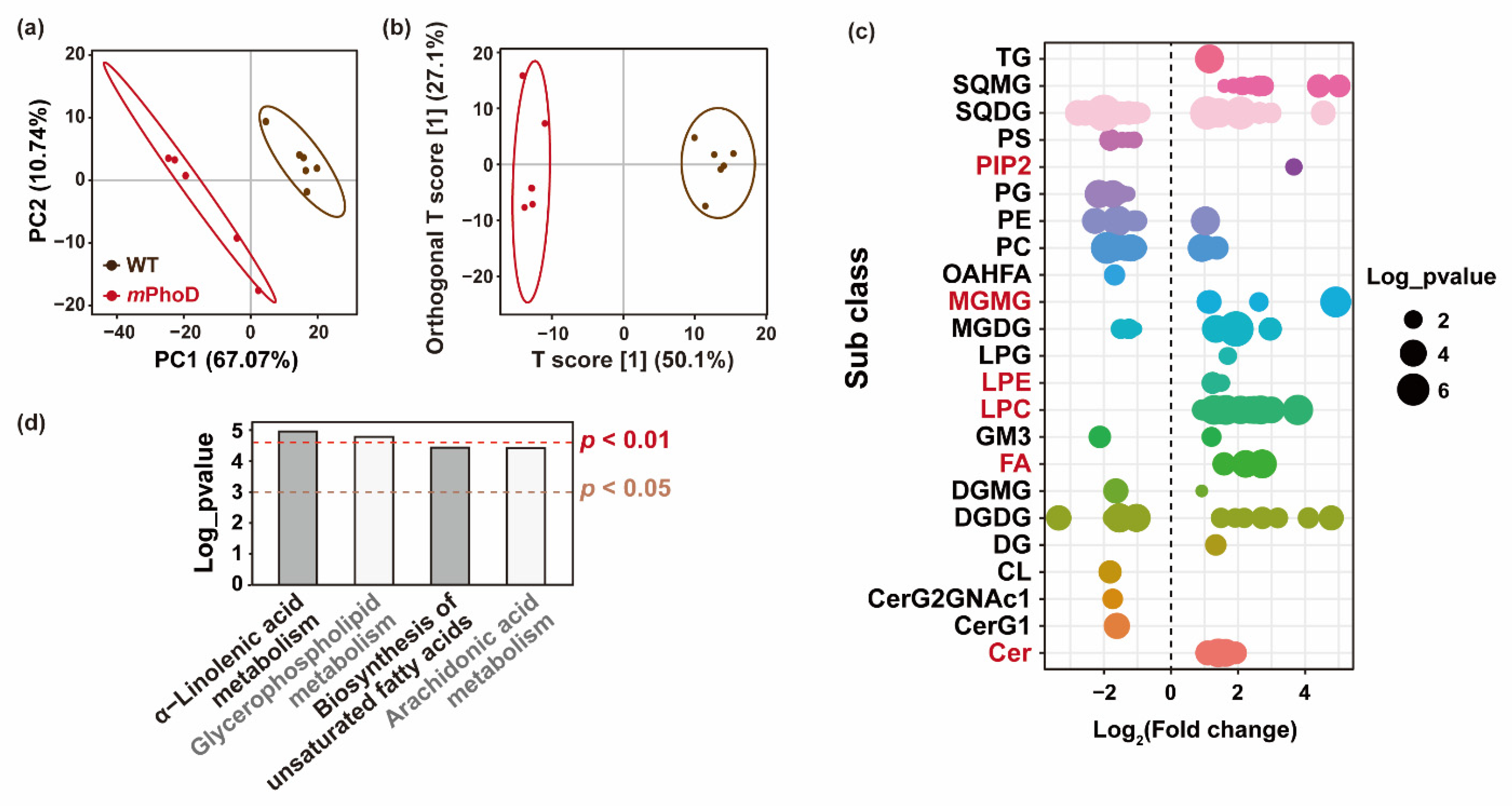 Marinedrugs 21 00560 g003