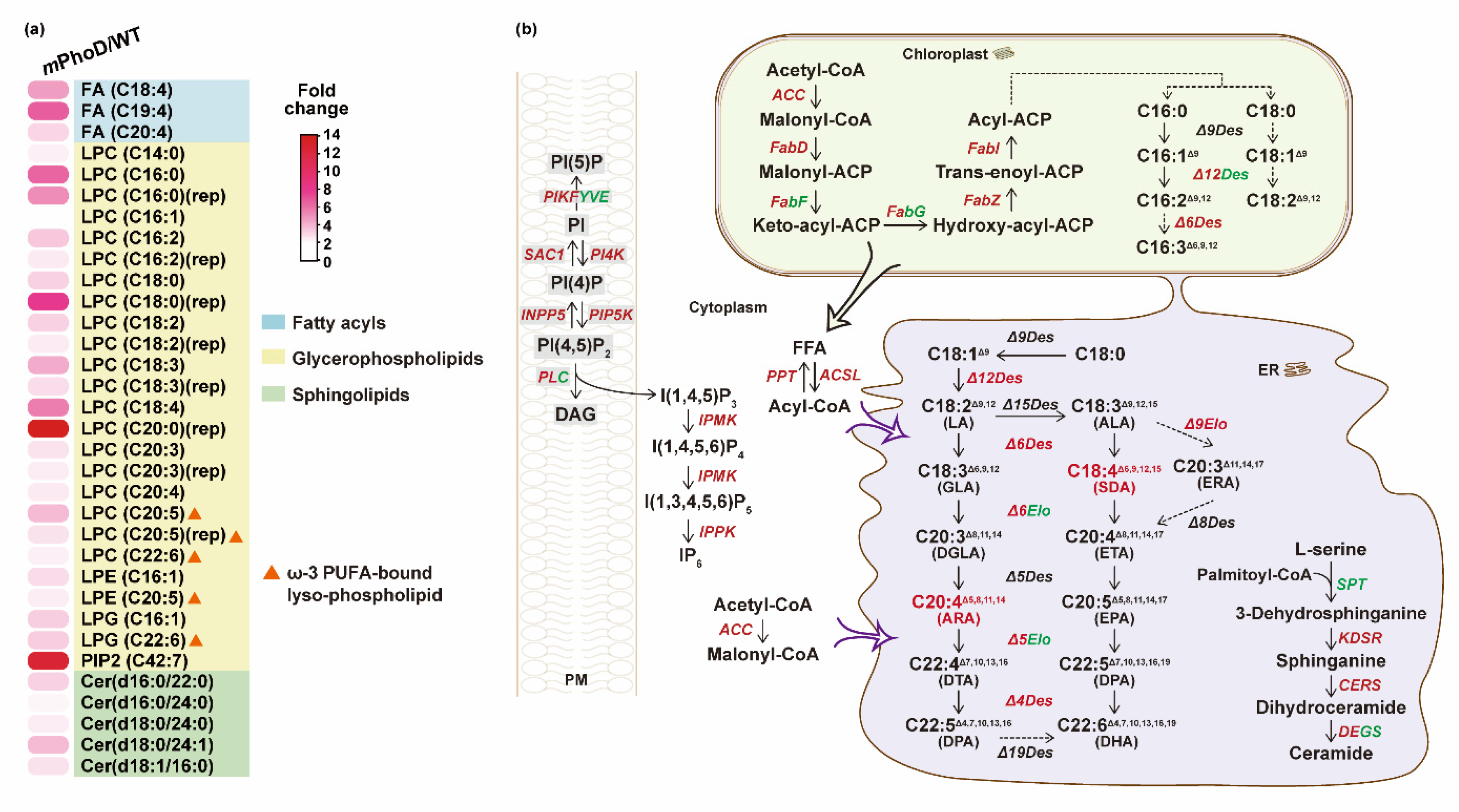 Marinedrugs 21 00560 g005