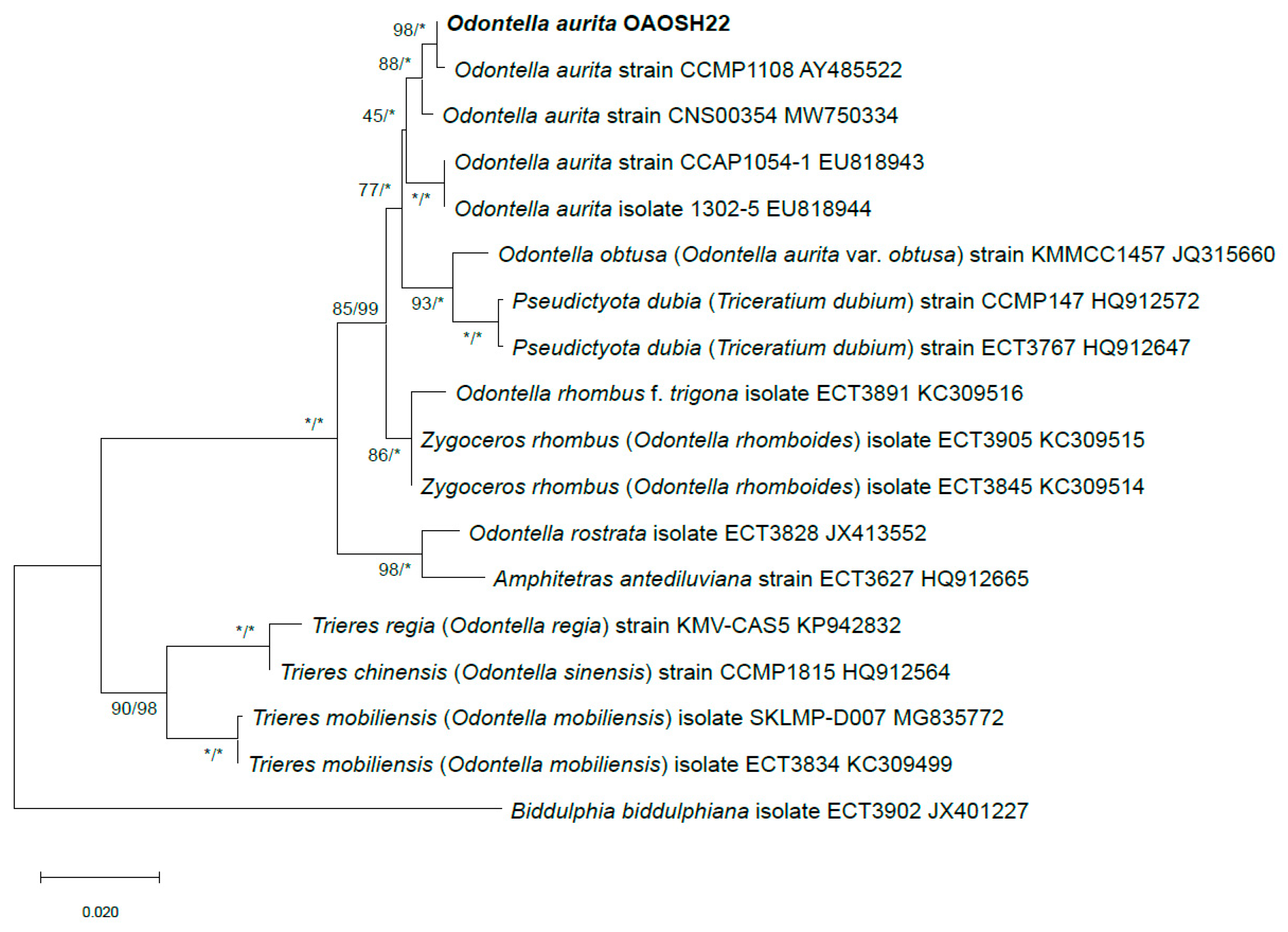 Marinedrugs 21 00563 g002 Marinedrugs 21 00563 g002