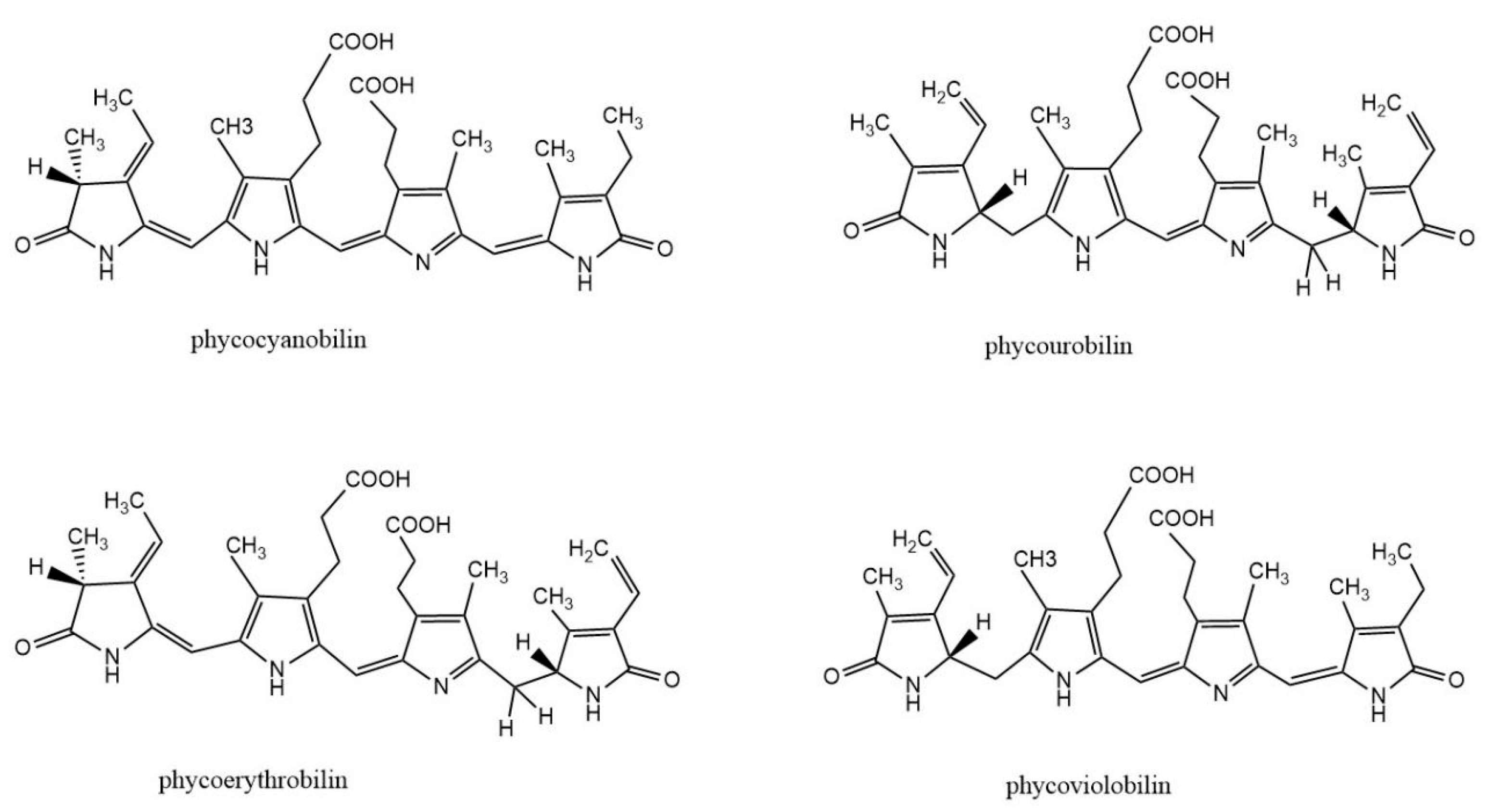 Marinedrugs 21 00572 g001 Marinedrugs 21 00572 g001