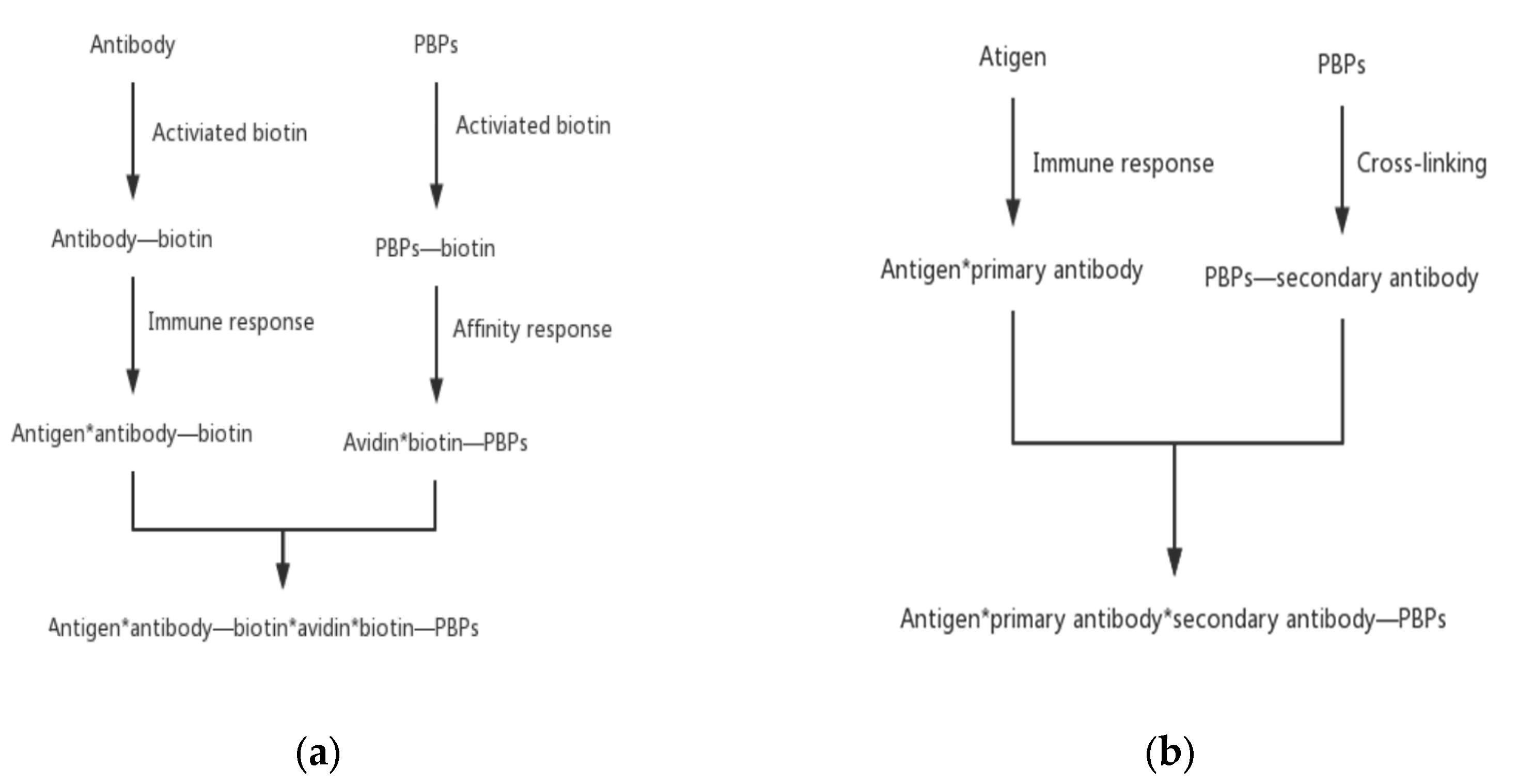 Marinedrugs 21 00572 g005 Marinedrugs 21 00572 g005