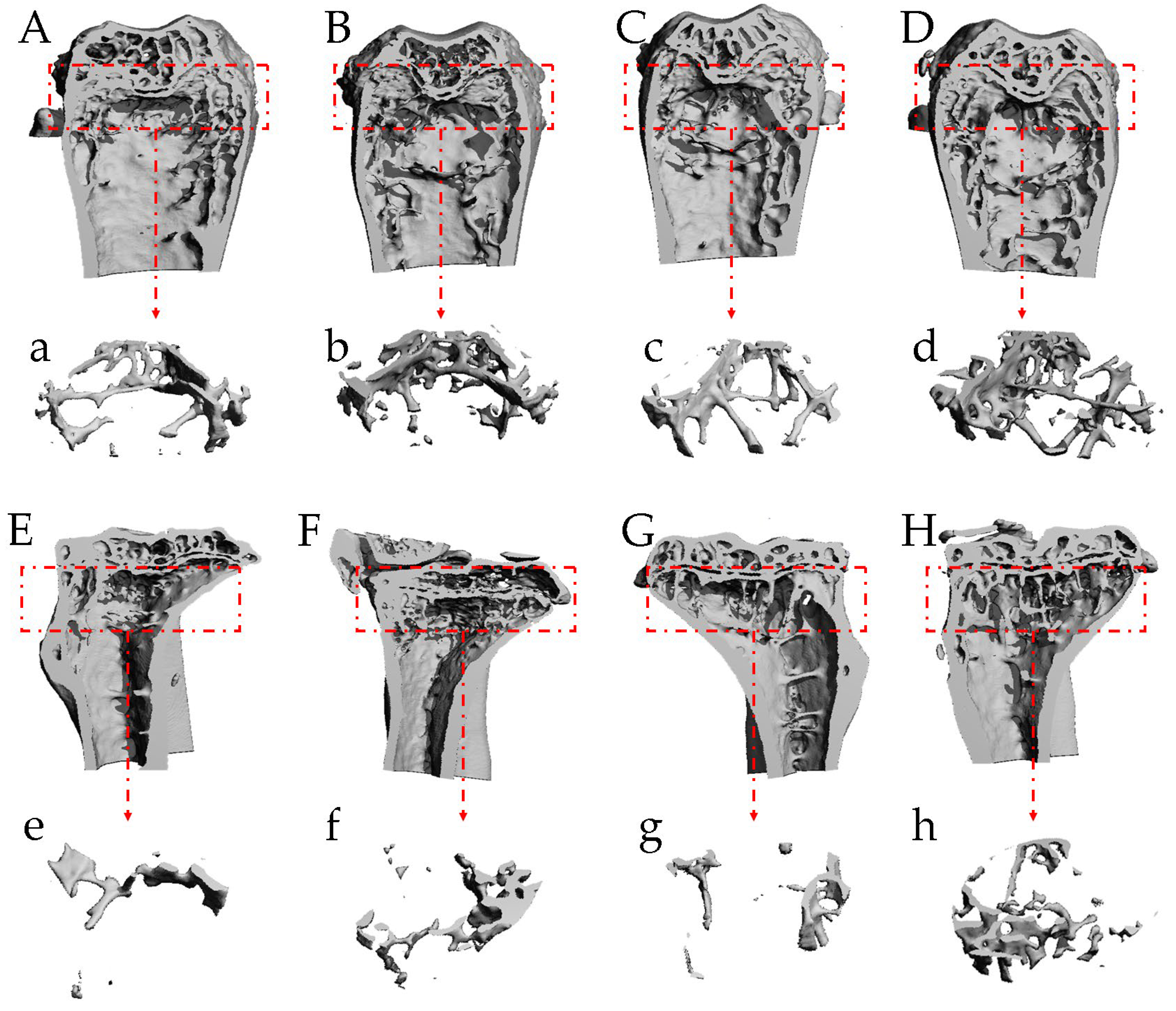 Marinedrugs 21 00573 g005