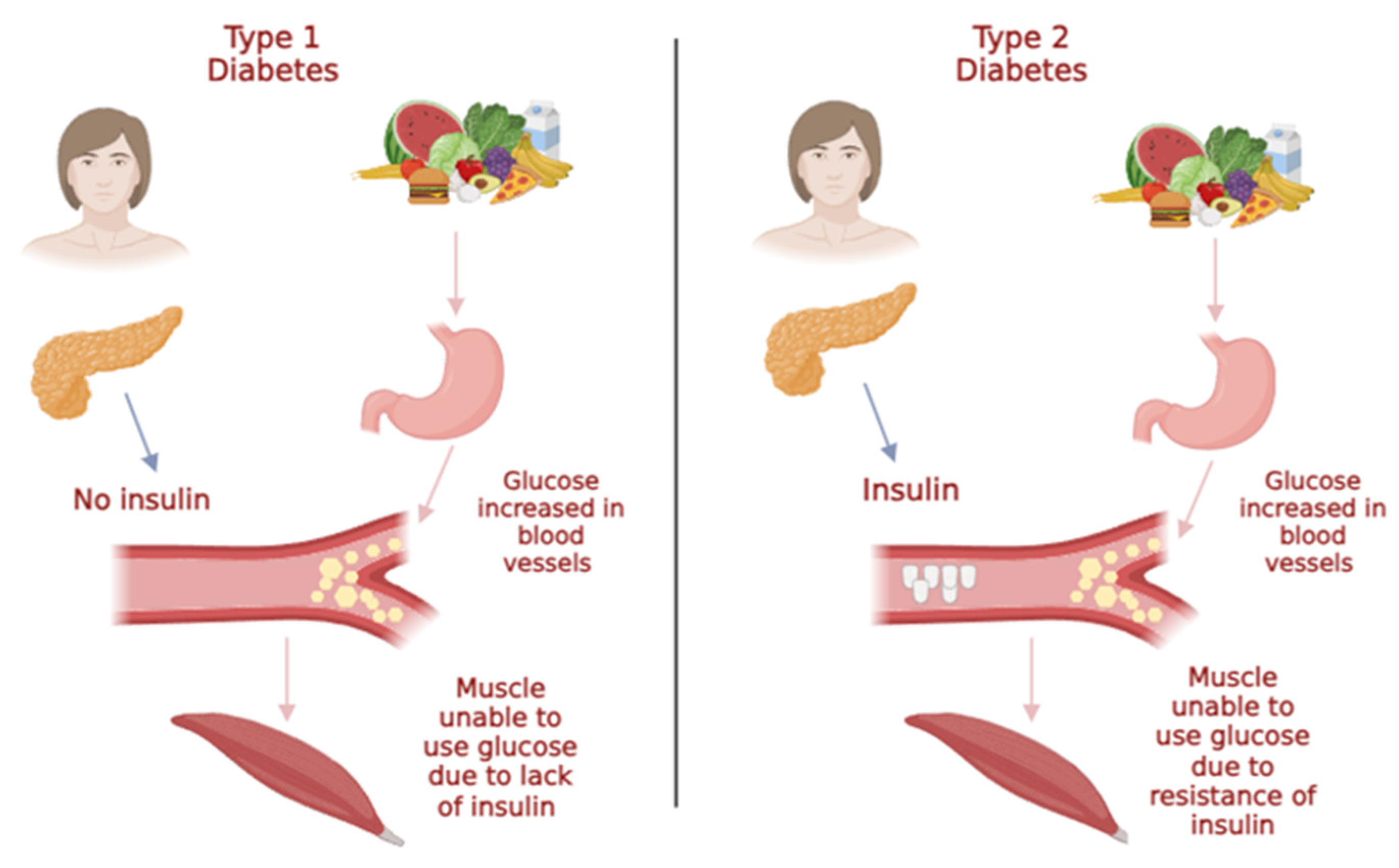 Marinedrugs 21 00578 g001