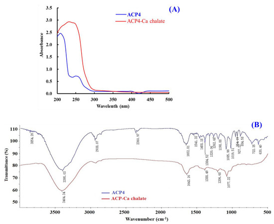 Novel Ca-Chelating Peptides from Protein Hydrolysate of Antarctic