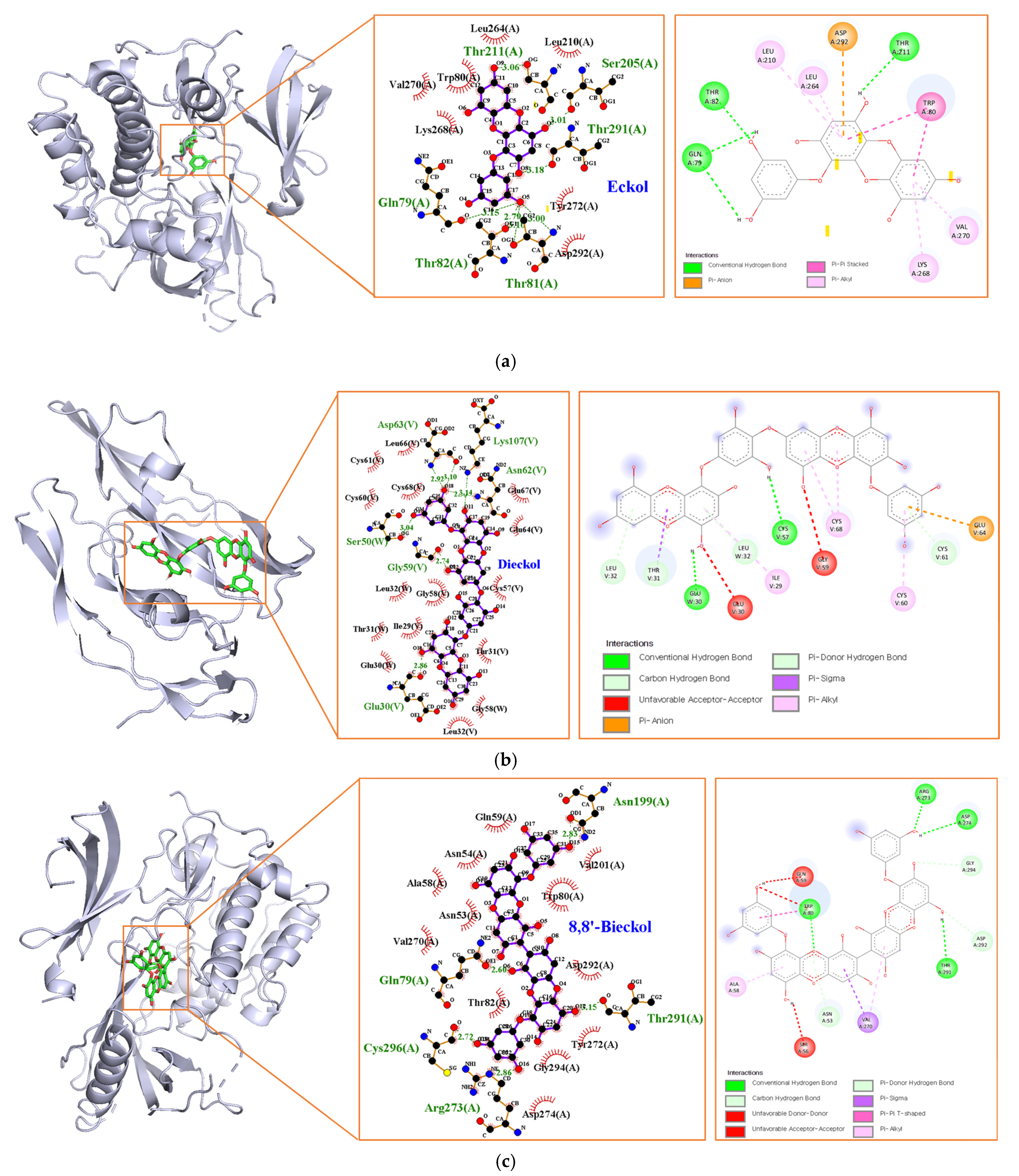 Marinedrugs 21 00580 g008
