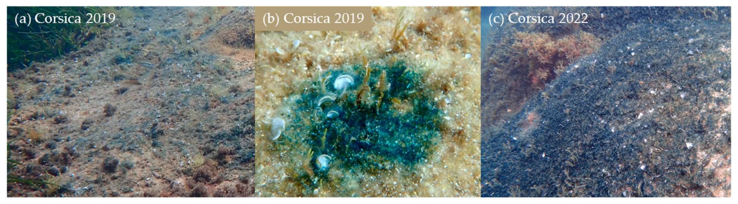 Marinedrugs 21 00583 g001