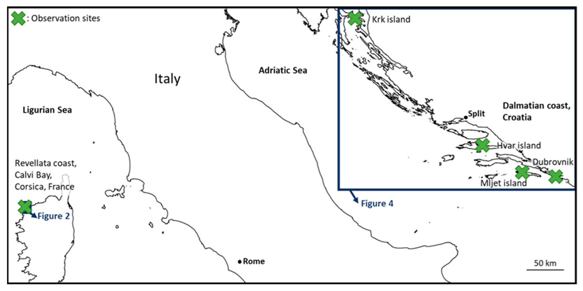 Marinedrugs 21 00583 g009