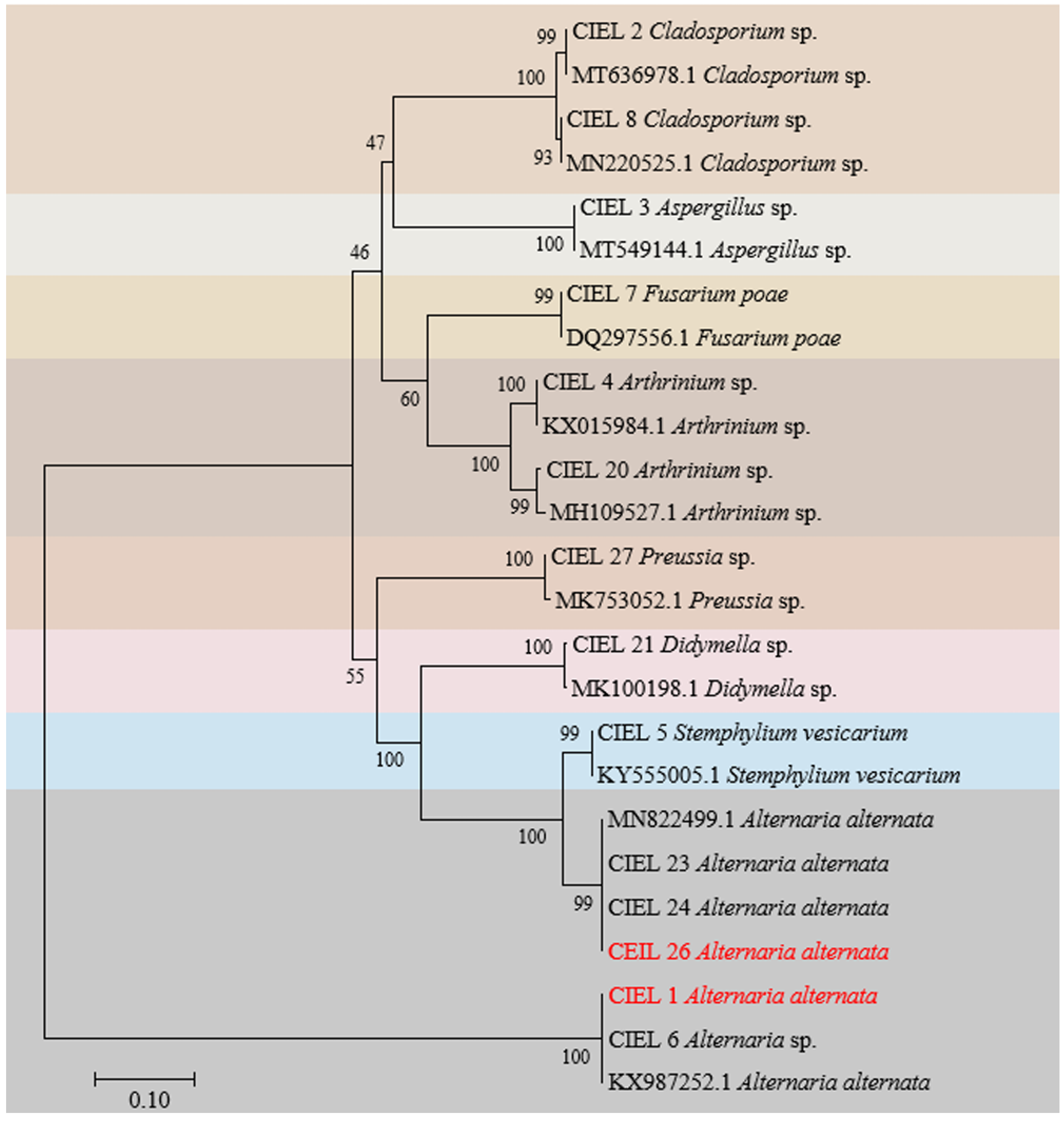 Marinedrugs 21 00585 g002