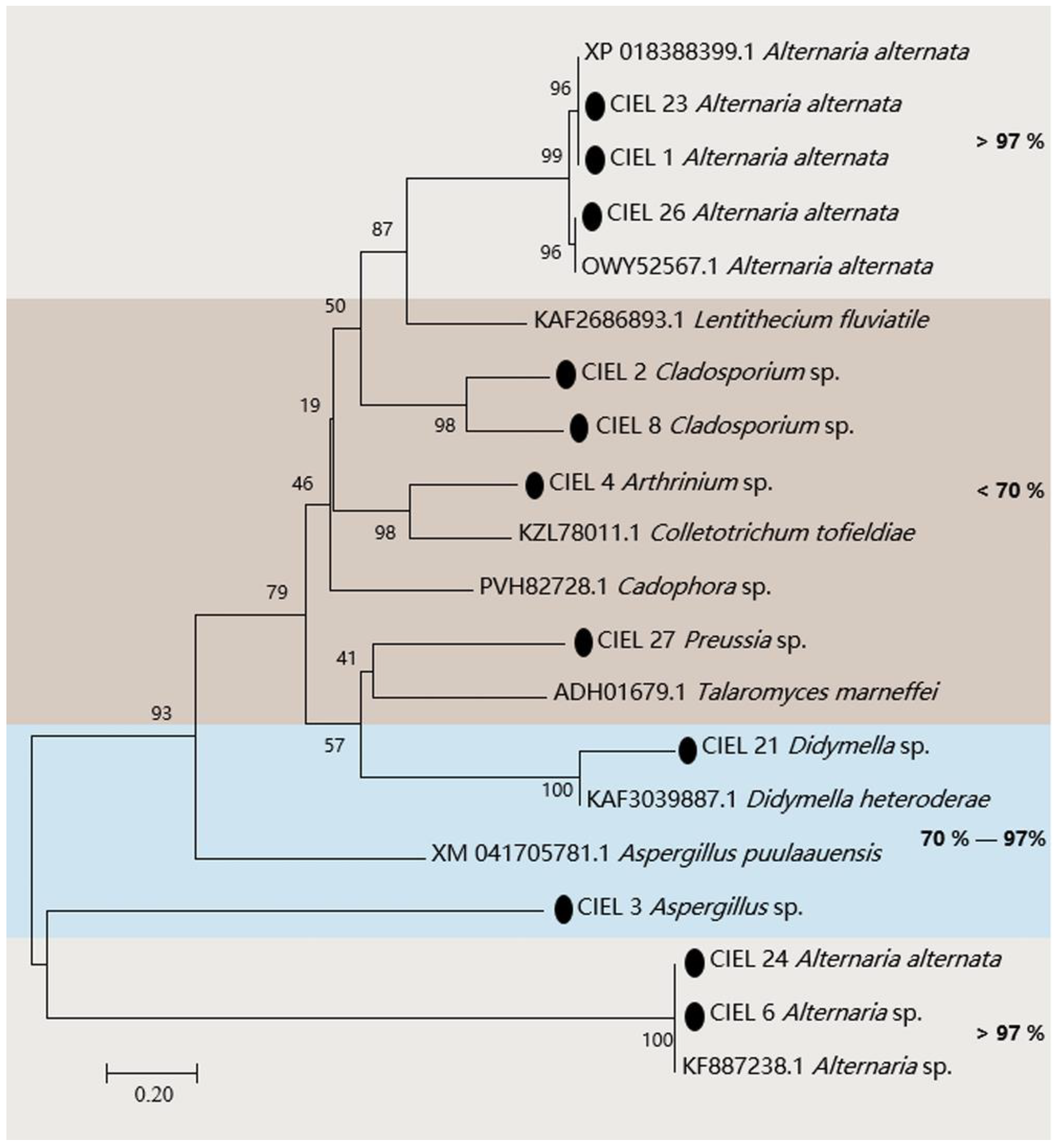 Marinedrugs 21 00585 g003