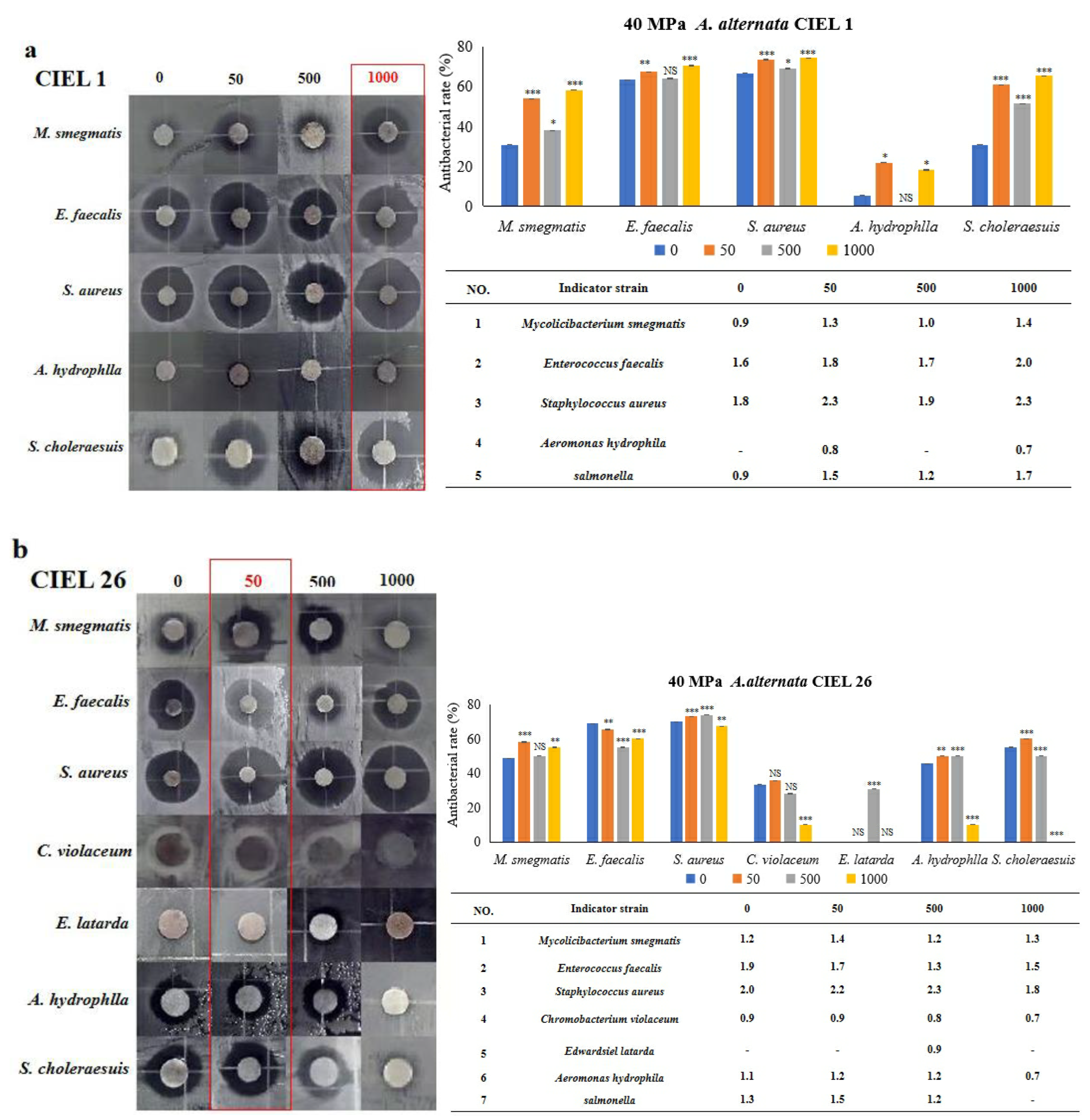 Marinedrugs 21 00585 g010