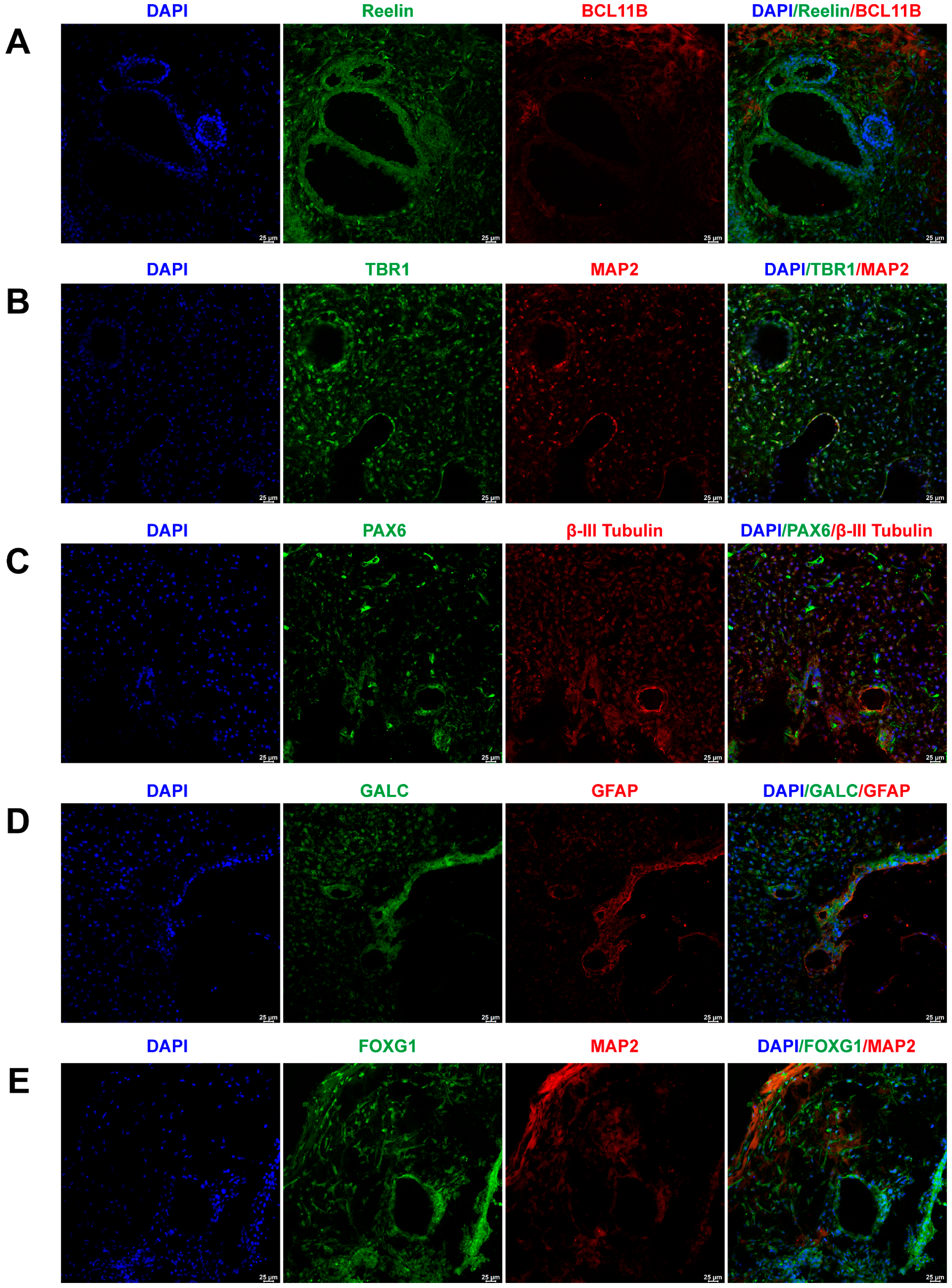 Marinedrugs 21 00588 g001 Marinedrugs 21 00588 g001