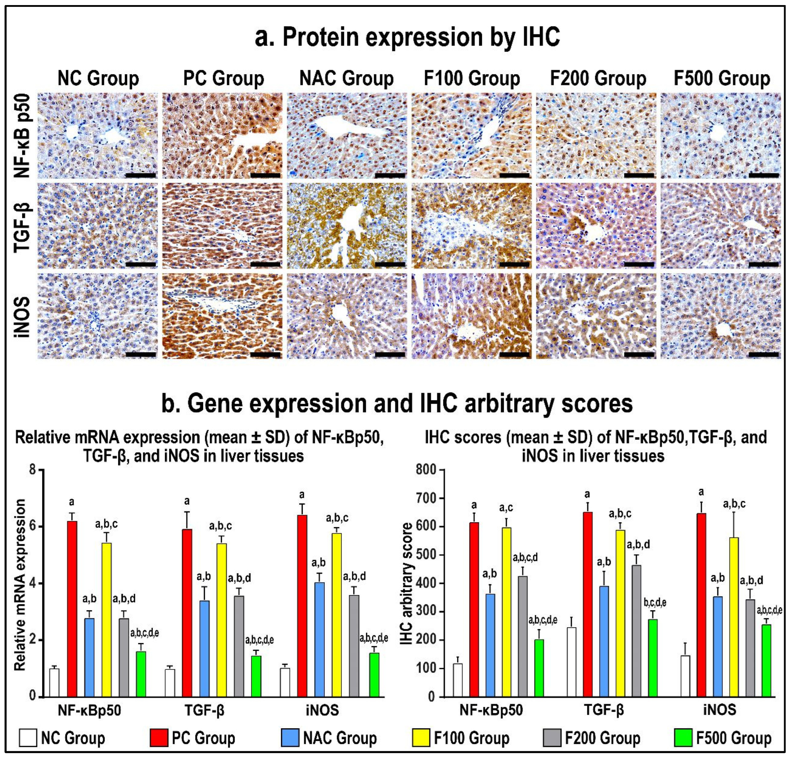 Marinedrugs 21 00592 g006