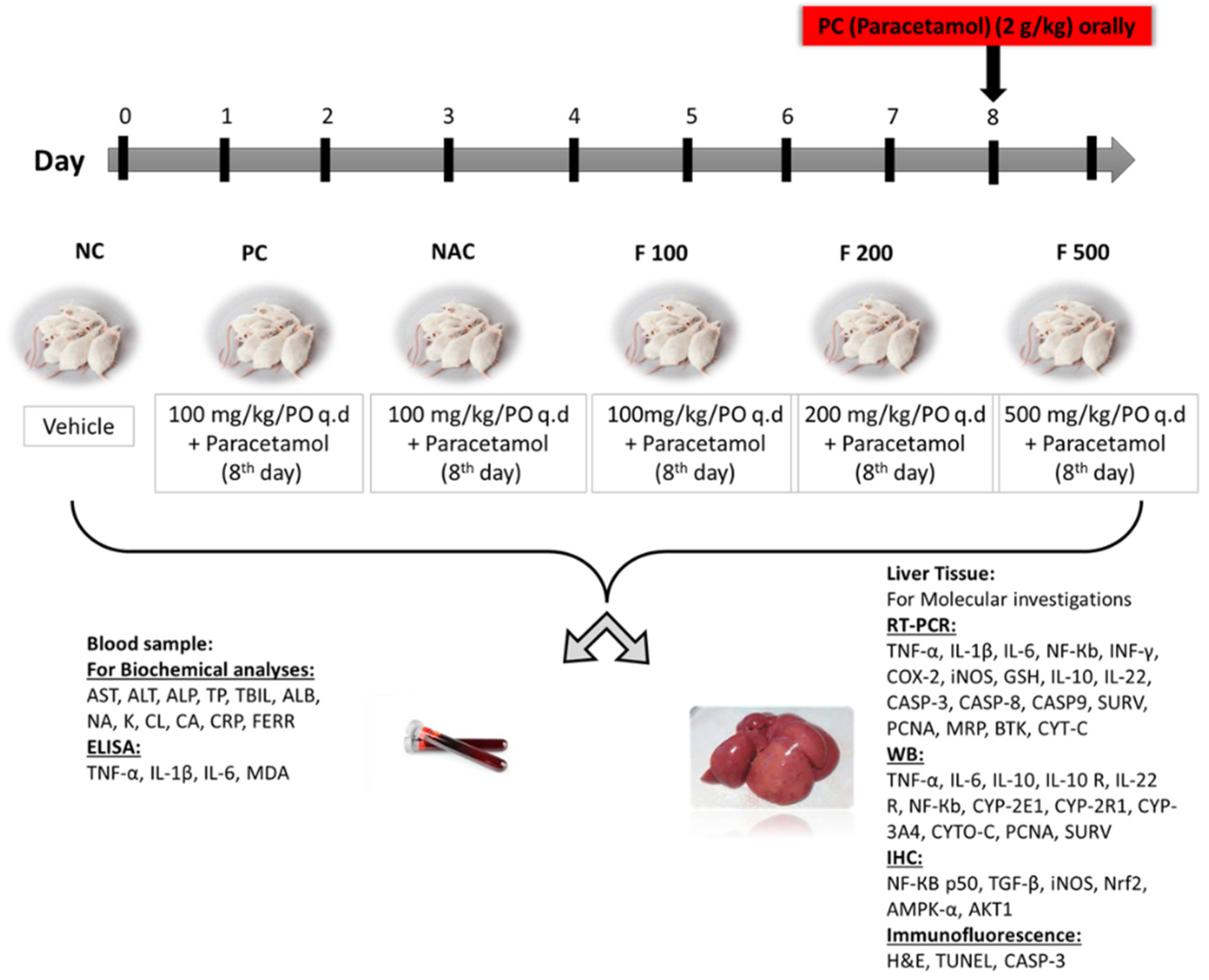 Marinedrugs 21 00592 g007