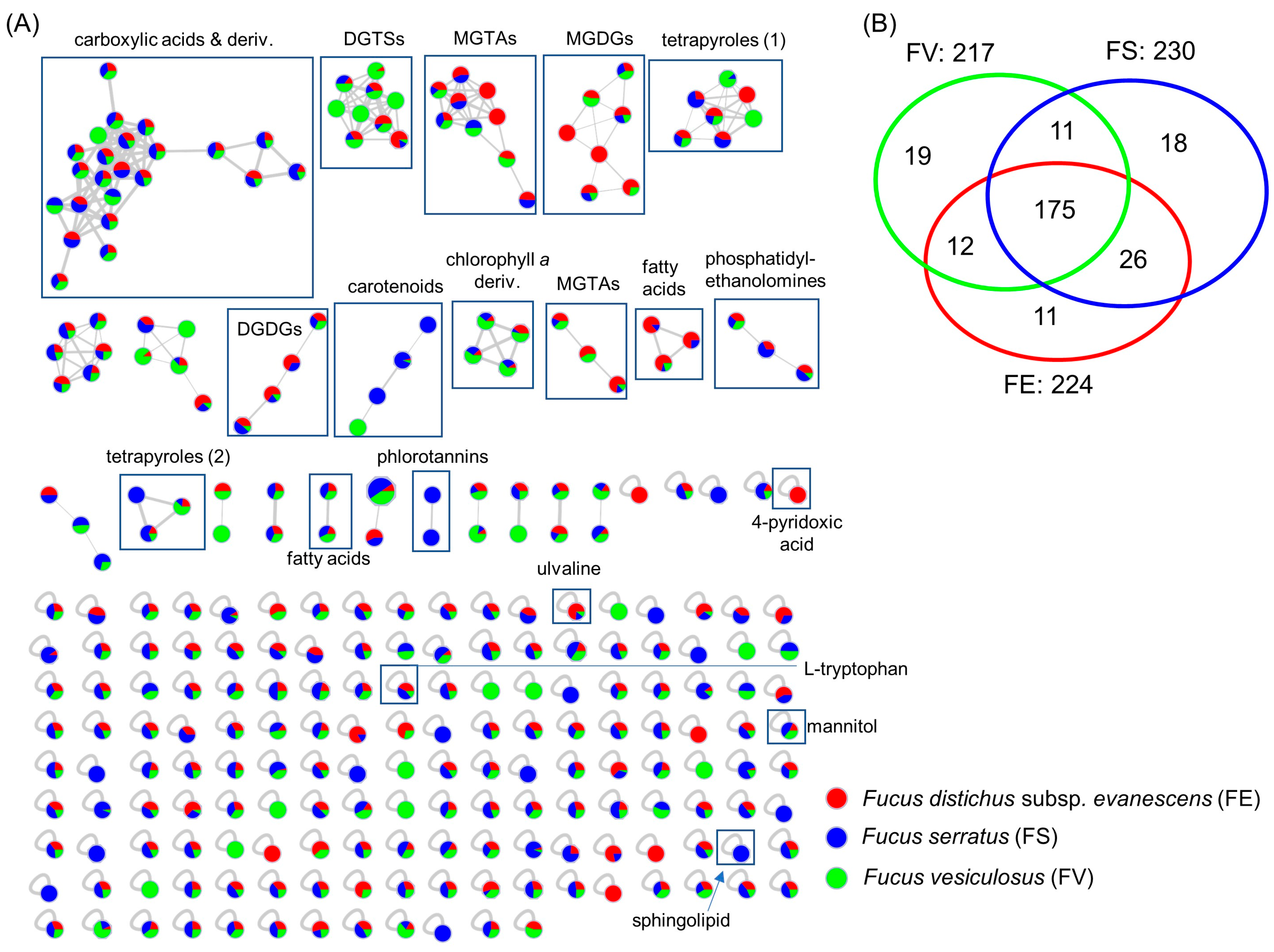 Marinedrugs 21 00595 g003