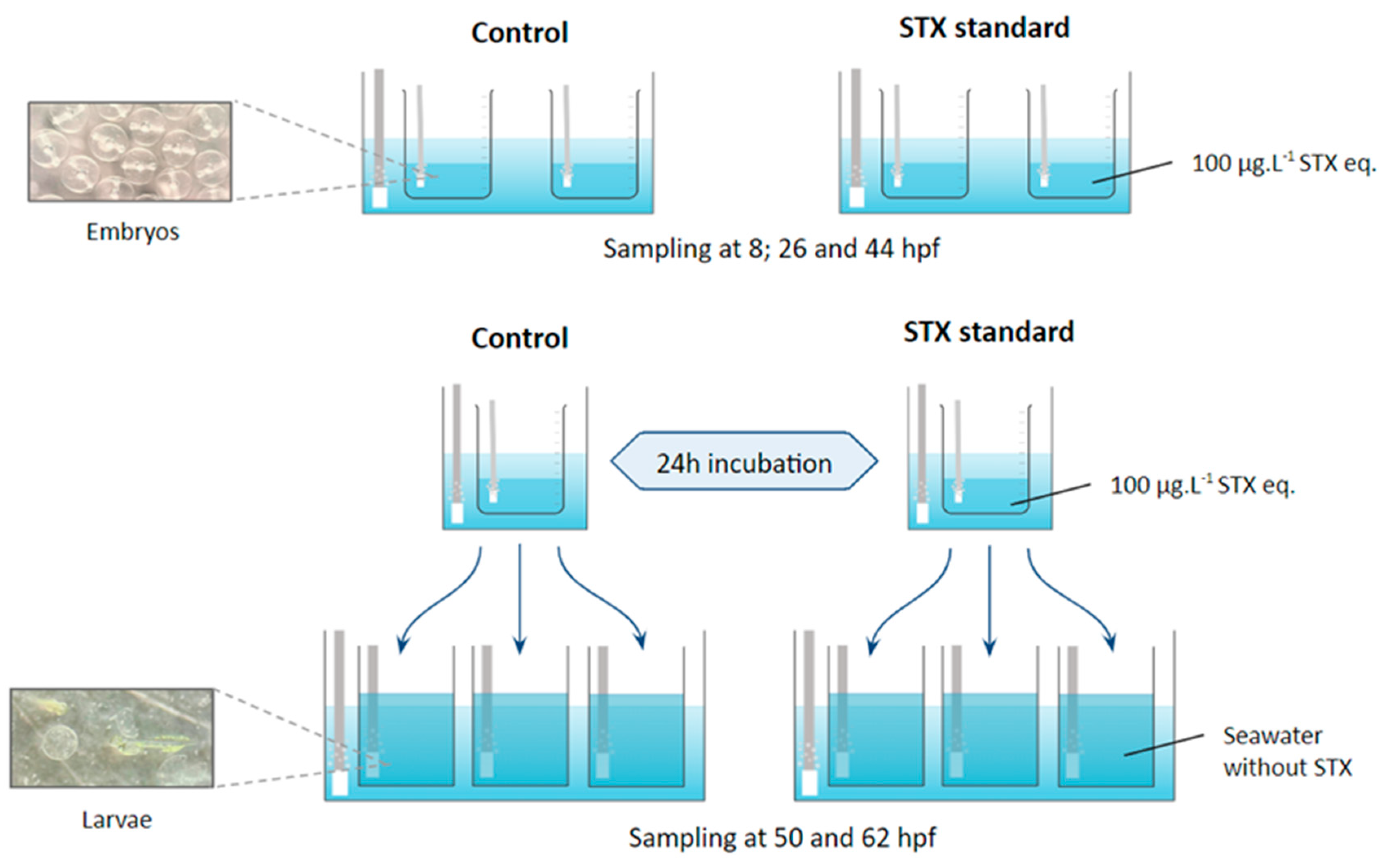 Marinedrugs 21 00597 g004