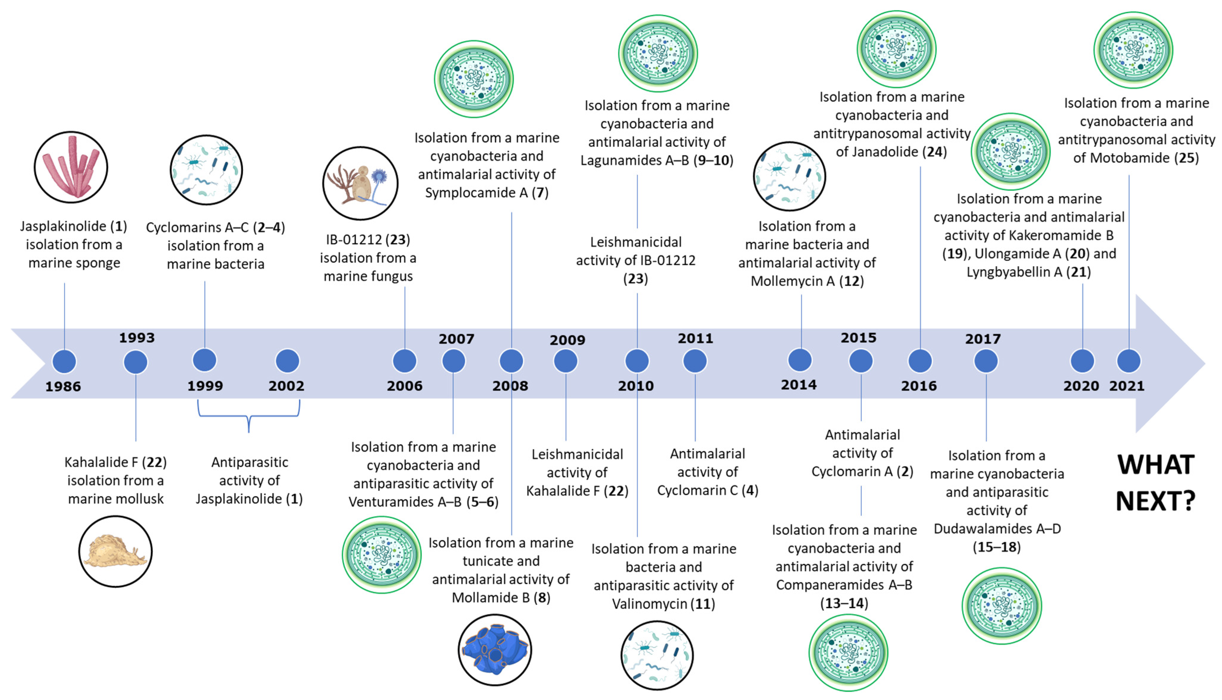 Marinedrugs 21 00609 g002 Marinedrugs 21 00609 g002