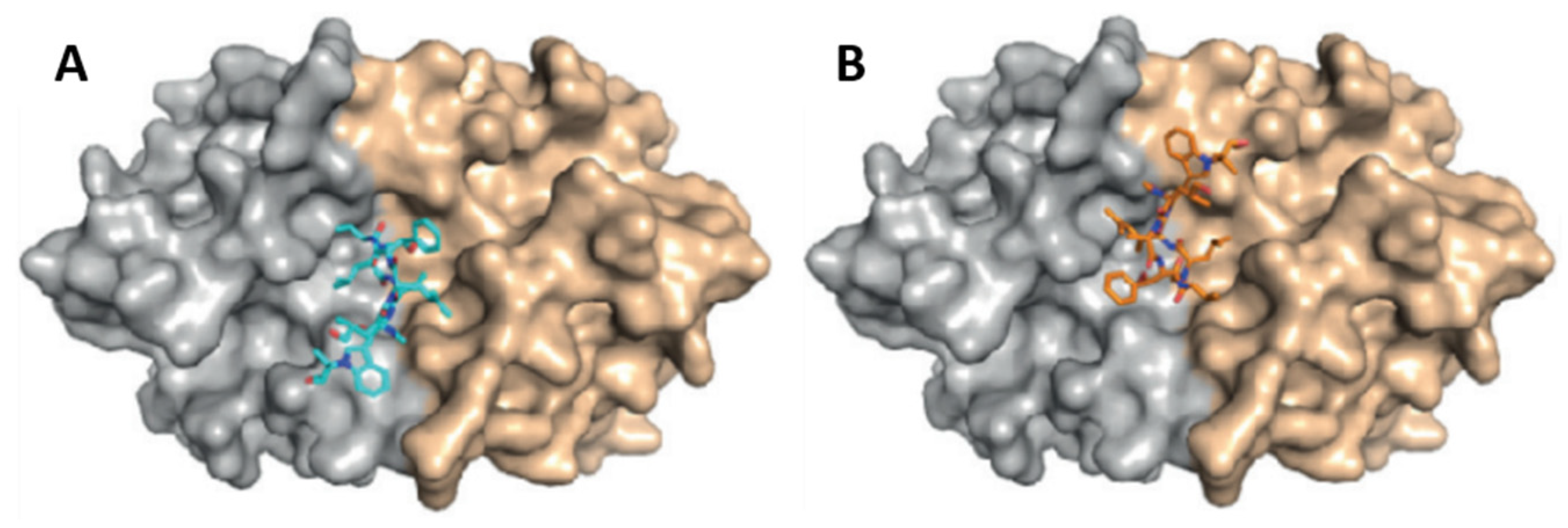 Marinedrugs 21 00609 g005 Marinedrugs 21 00609 g005