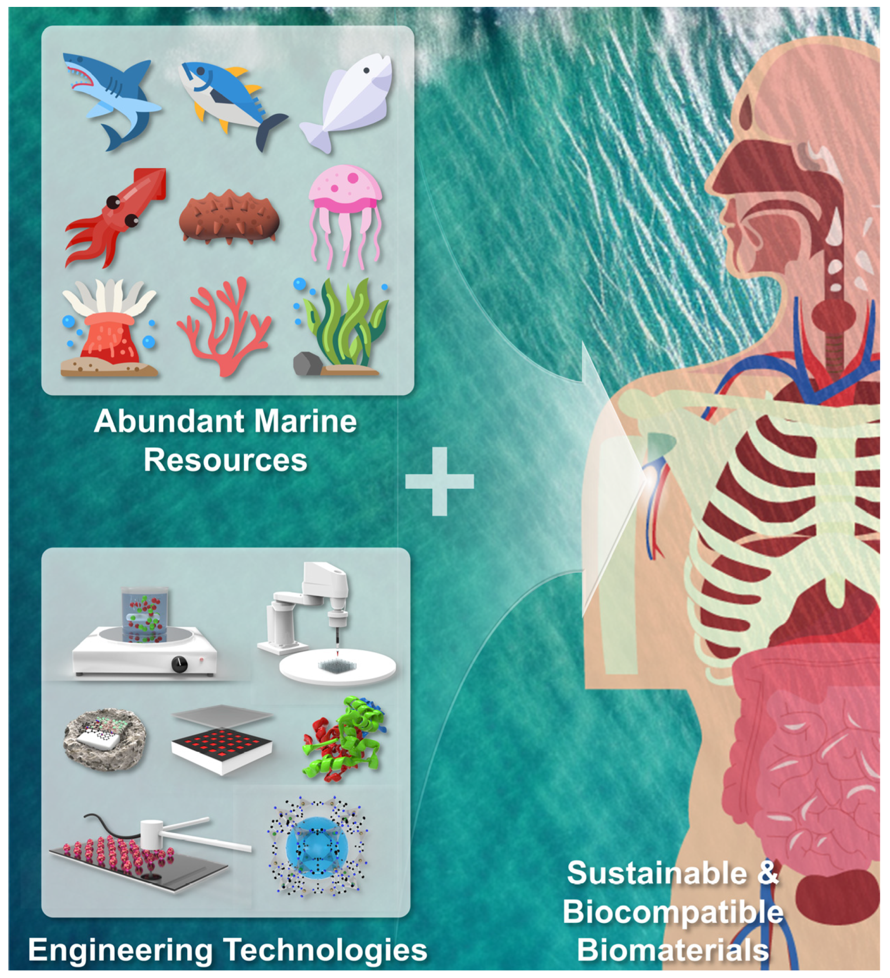 Marinedrugs 21 00611 g001