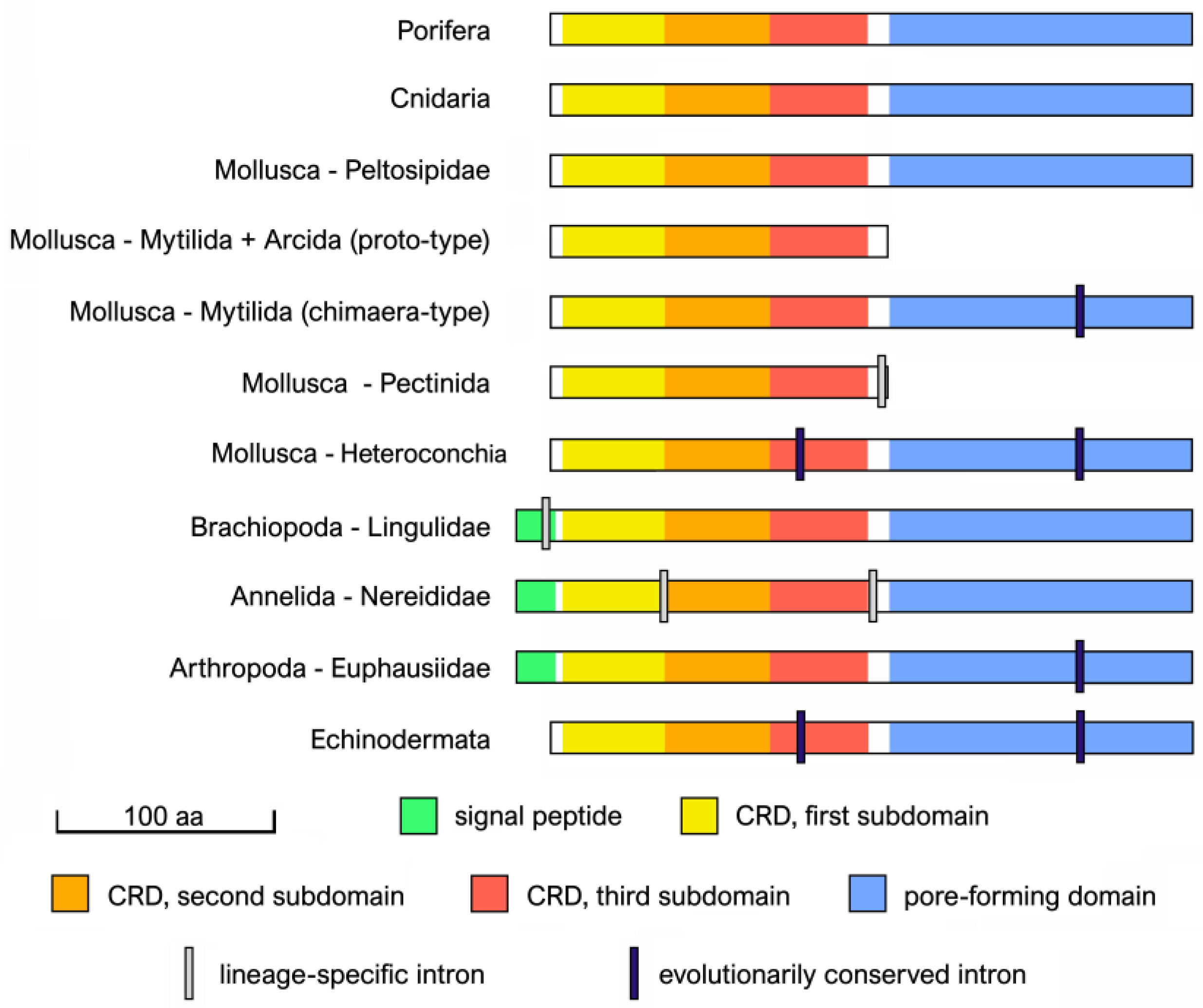 Marinedrugs 21 00614 g003