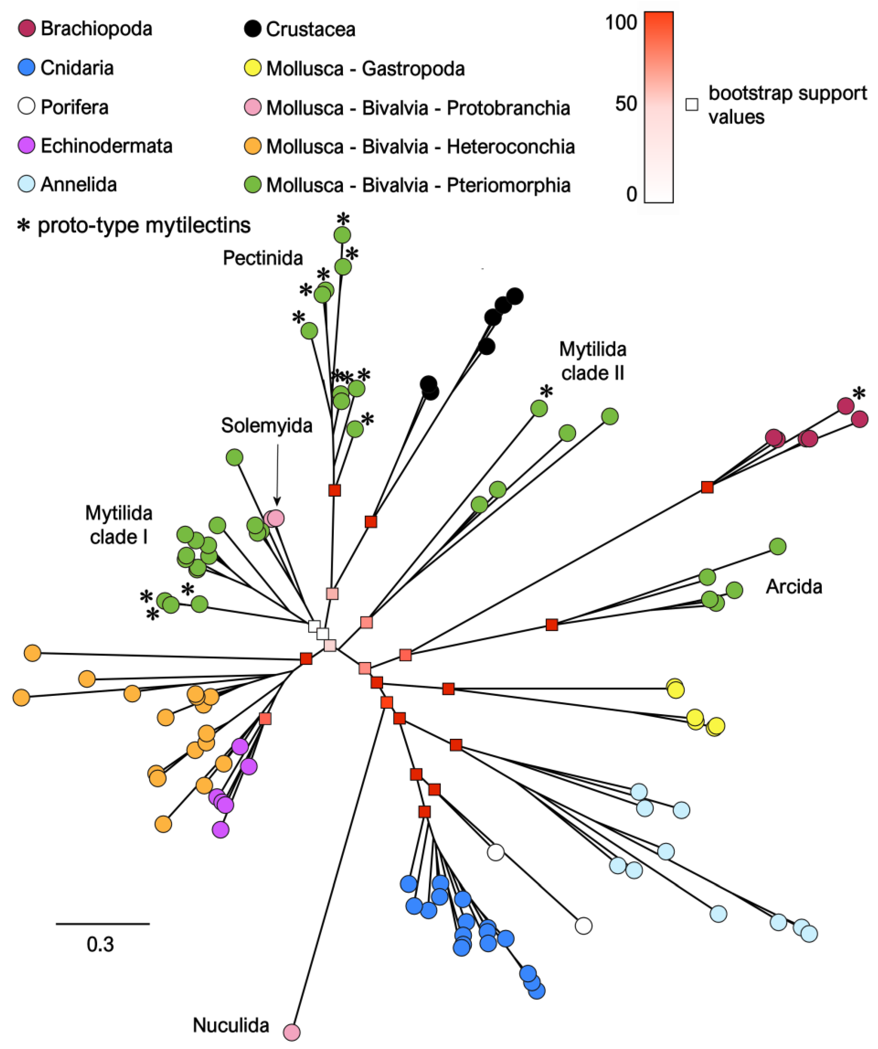 Marinedrugs 21 00614 g004