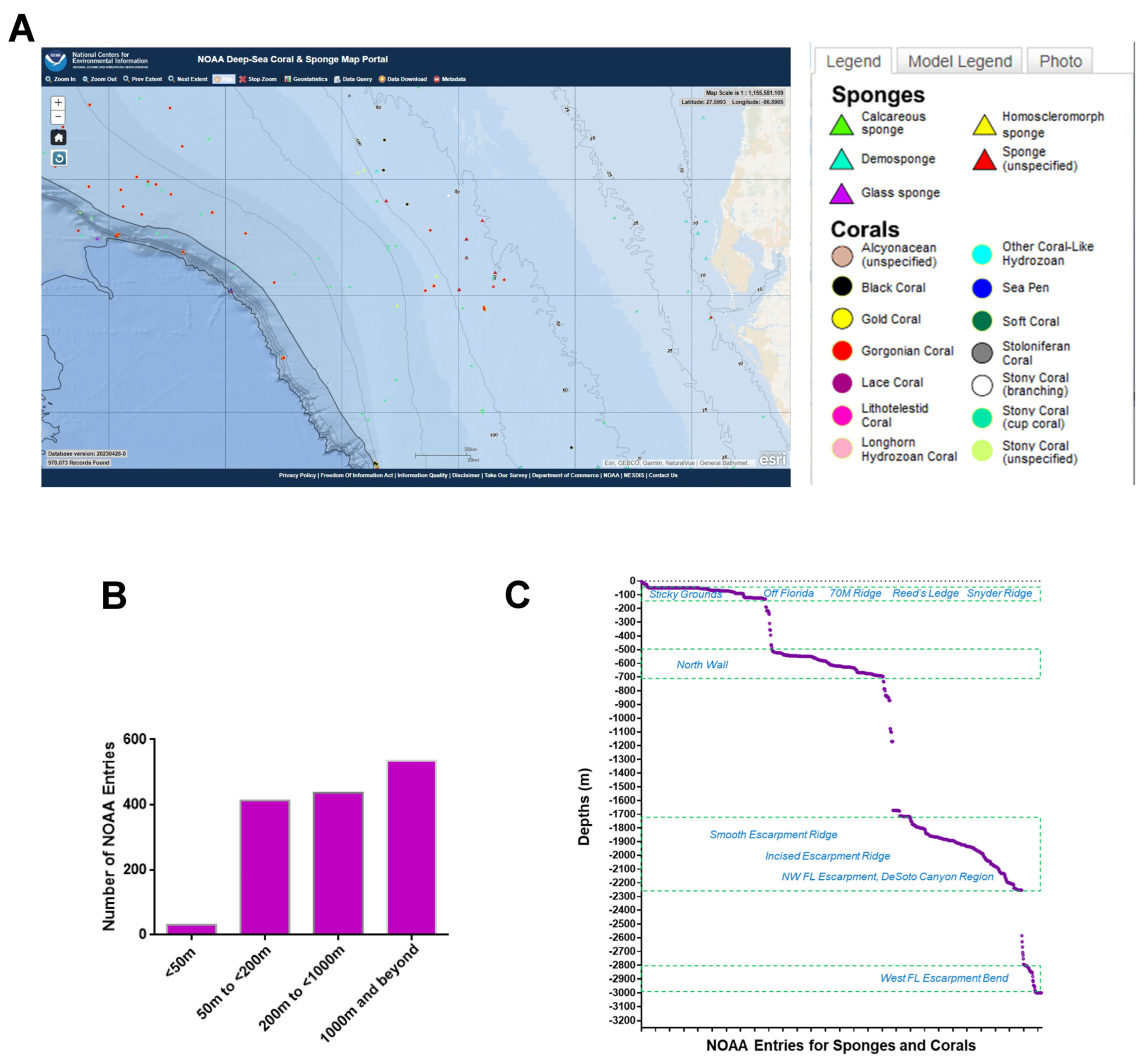 Marinedrugs 21 00615 g001 Marinedrugs 21 00615 g001