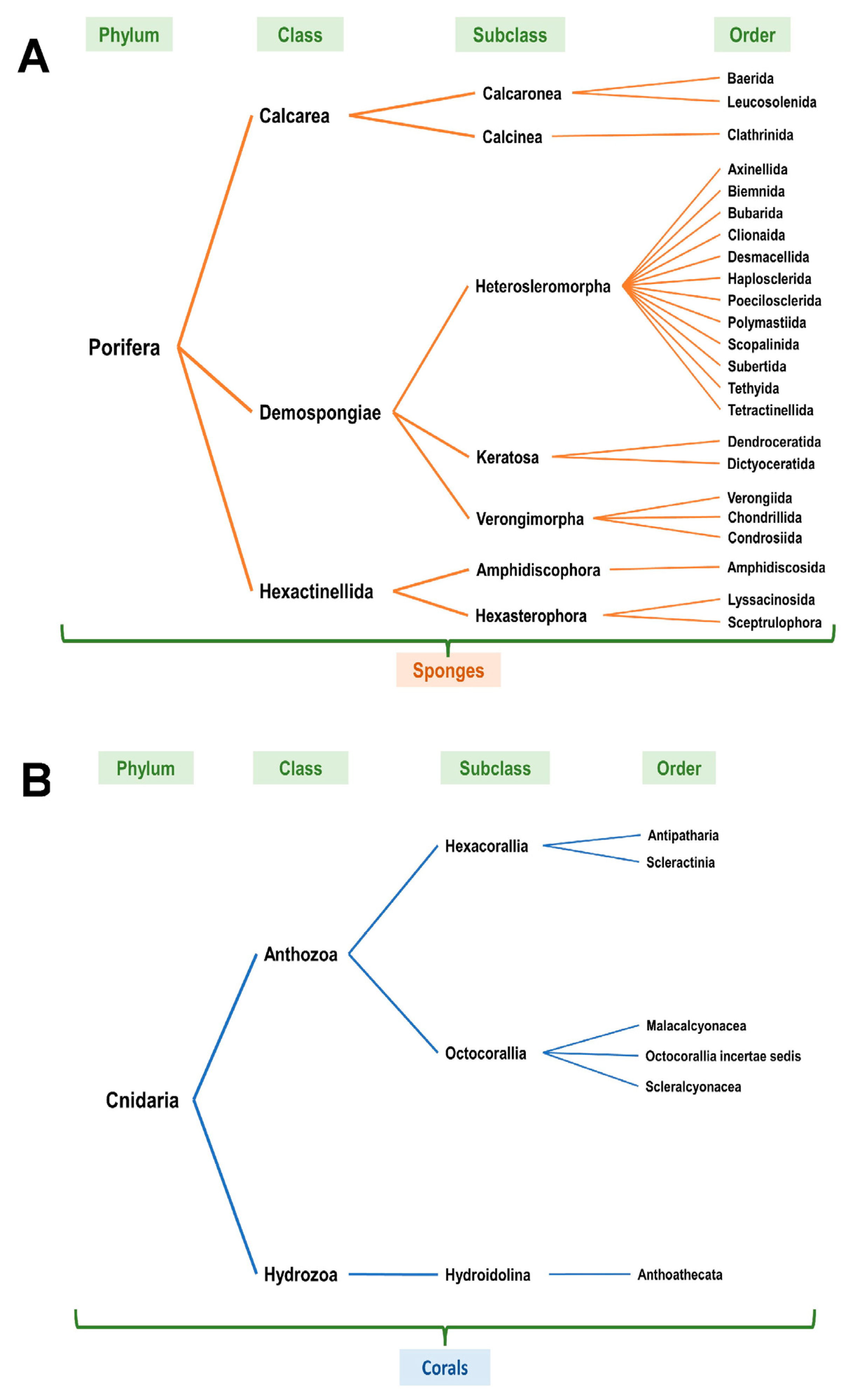 Marinedrugs 21 00615 g004 Marinedrugs 21 00615 g004