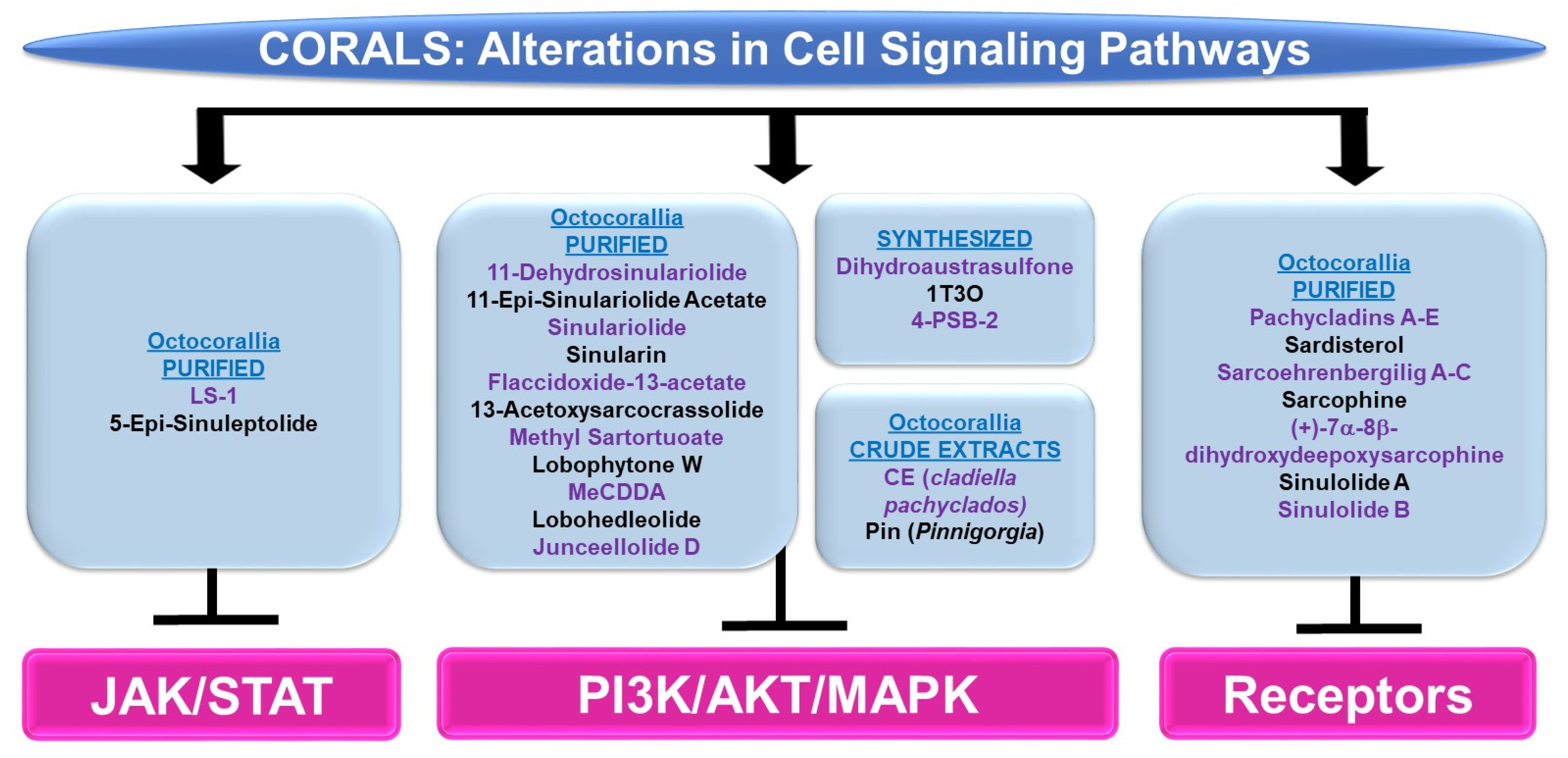 Marinedrugs 21 00615 g007 Marinedrugs 21 00615 g007