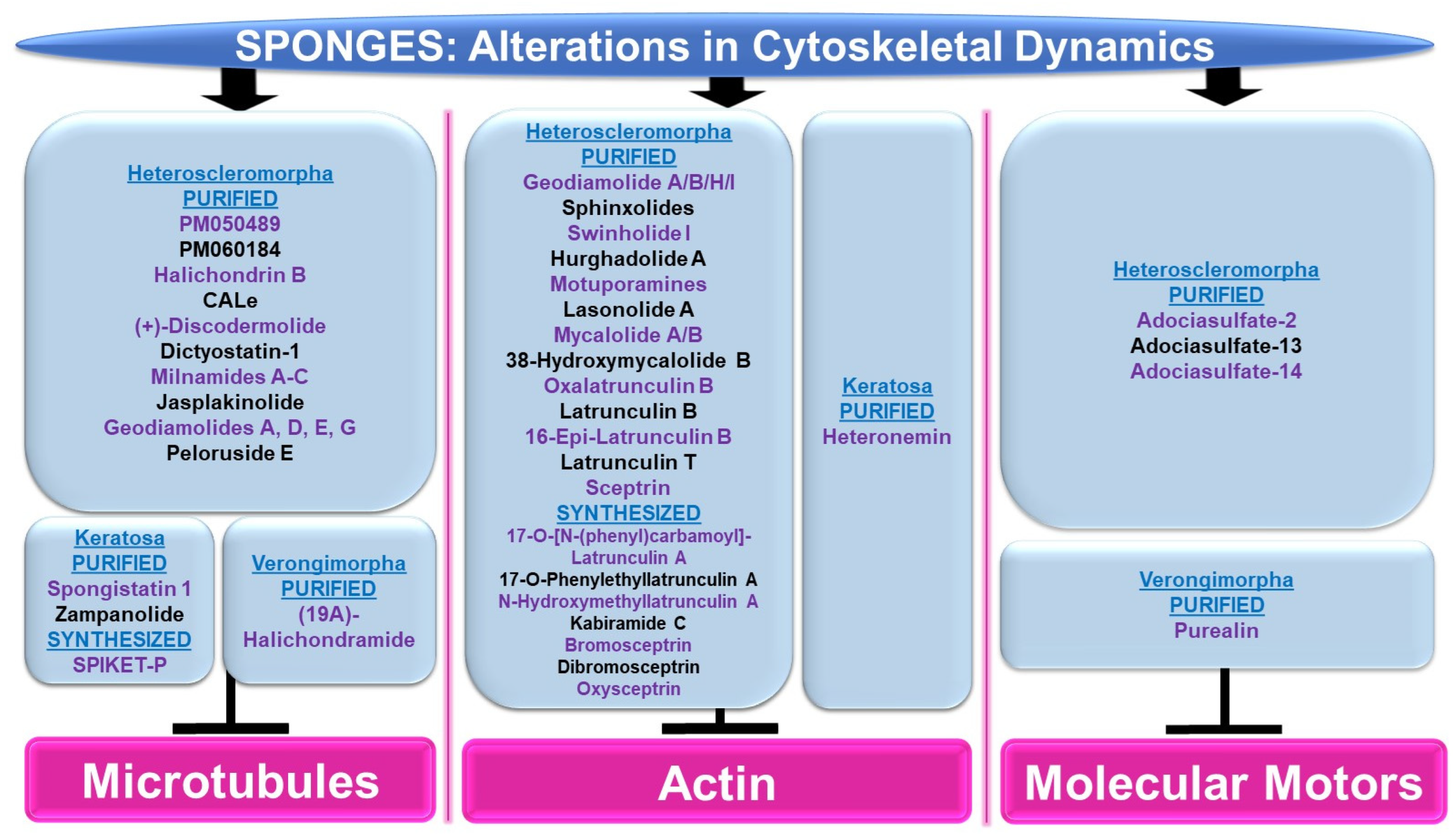 Marinedrugs 21 00615 g008 Marinedrugs 21 00615 g008