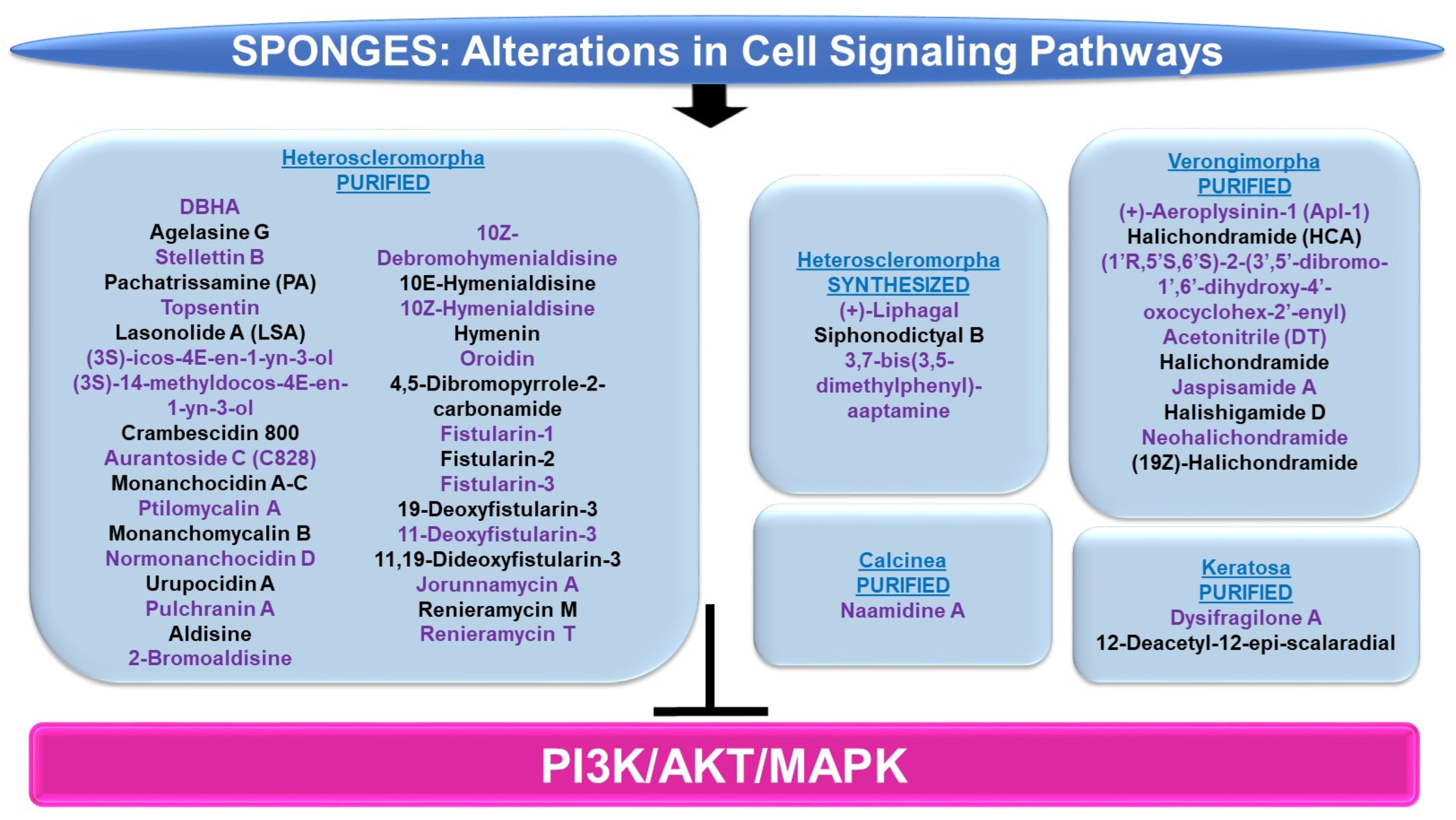 Marinedrugs 21 00615 g010 Marinedrugs 21 00615 g010
