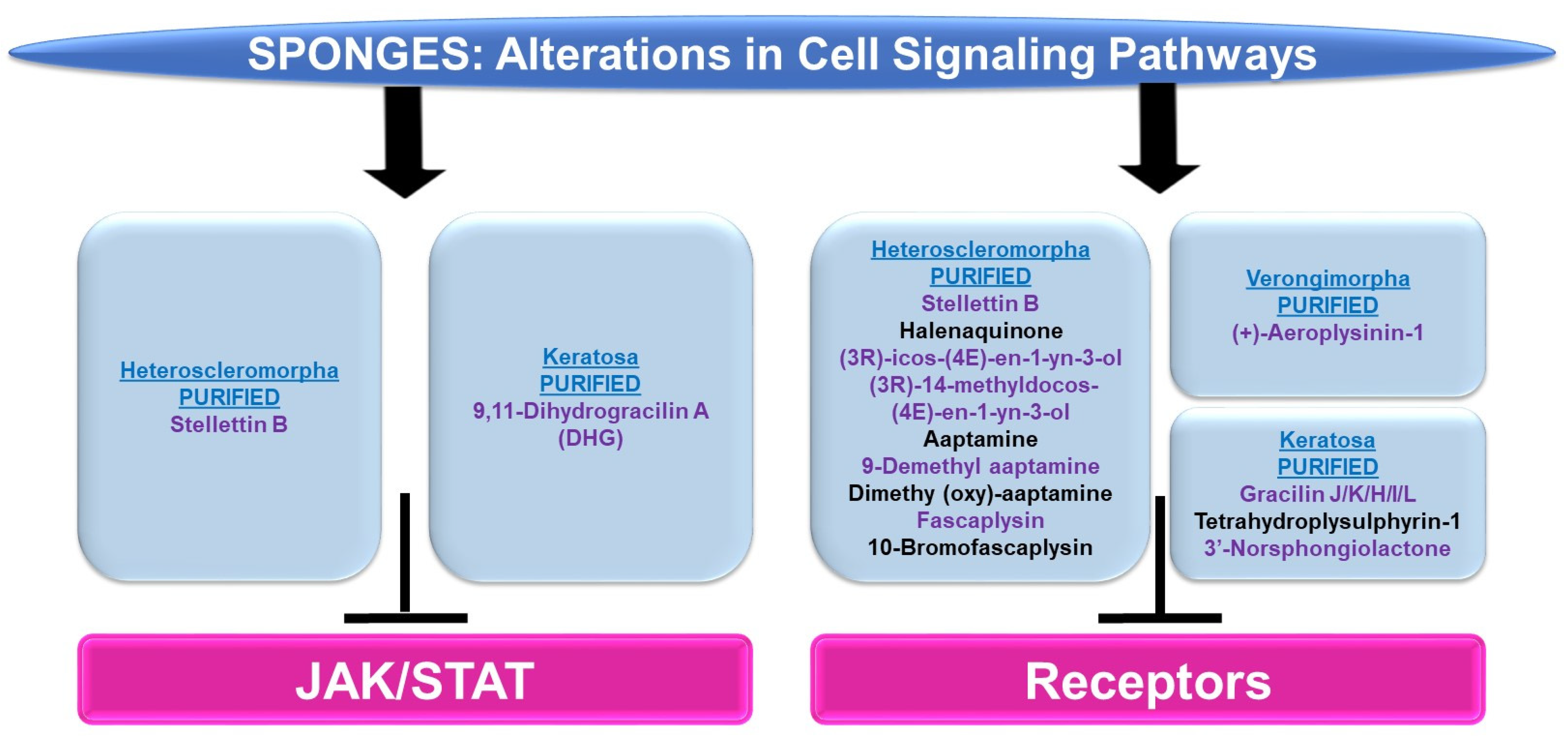Marinedrugs 21 00615 g011 Marinedrugs 21 00615 g011