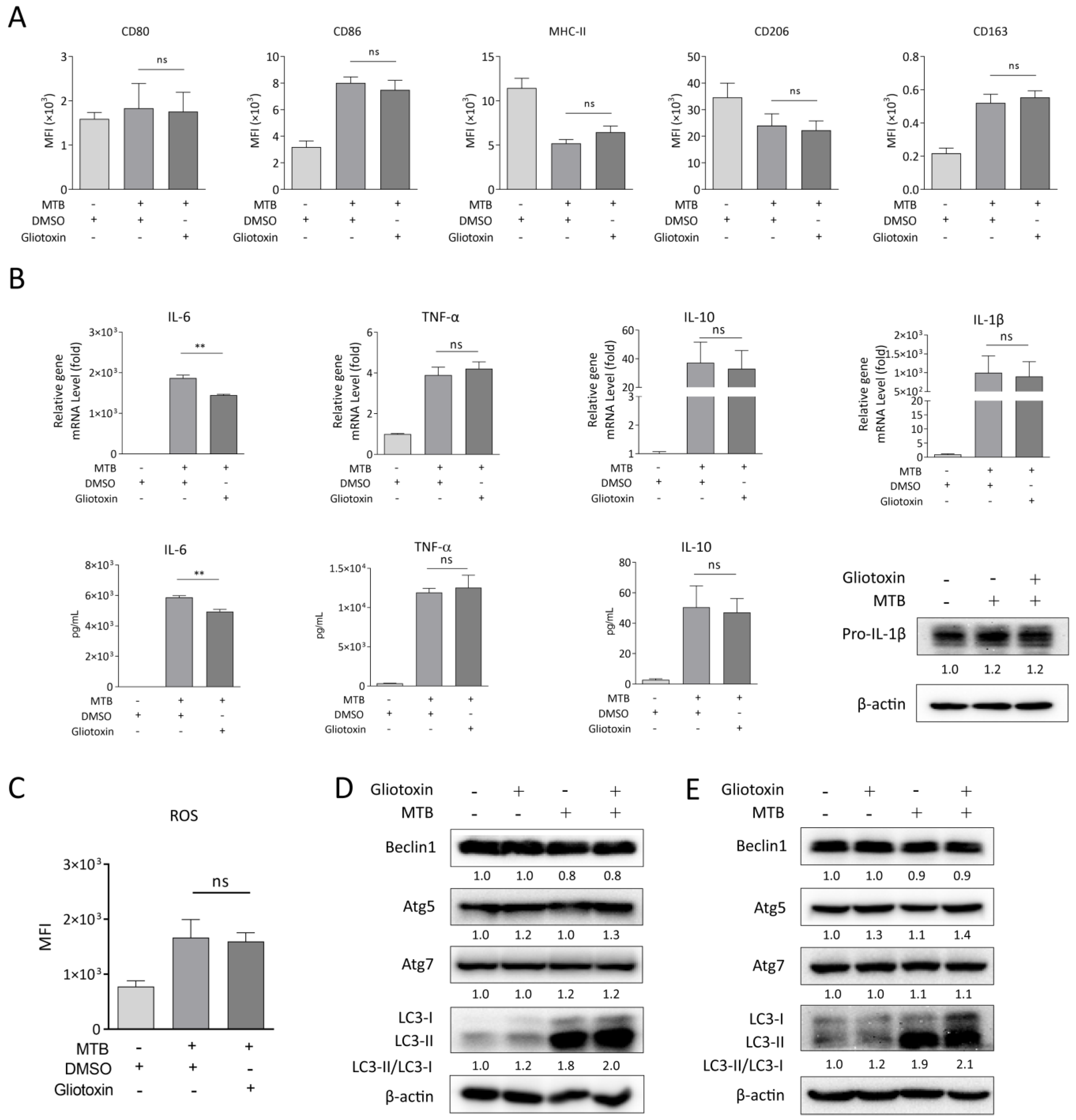 Marinedrugs 21 00616 g003 Marinedrugs 21 00616 g003