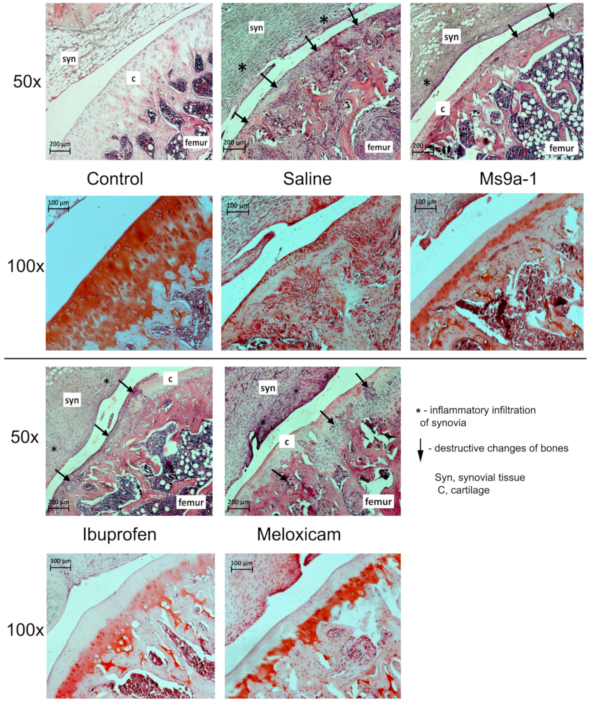 Marinedrugs 21 00617 g0a3