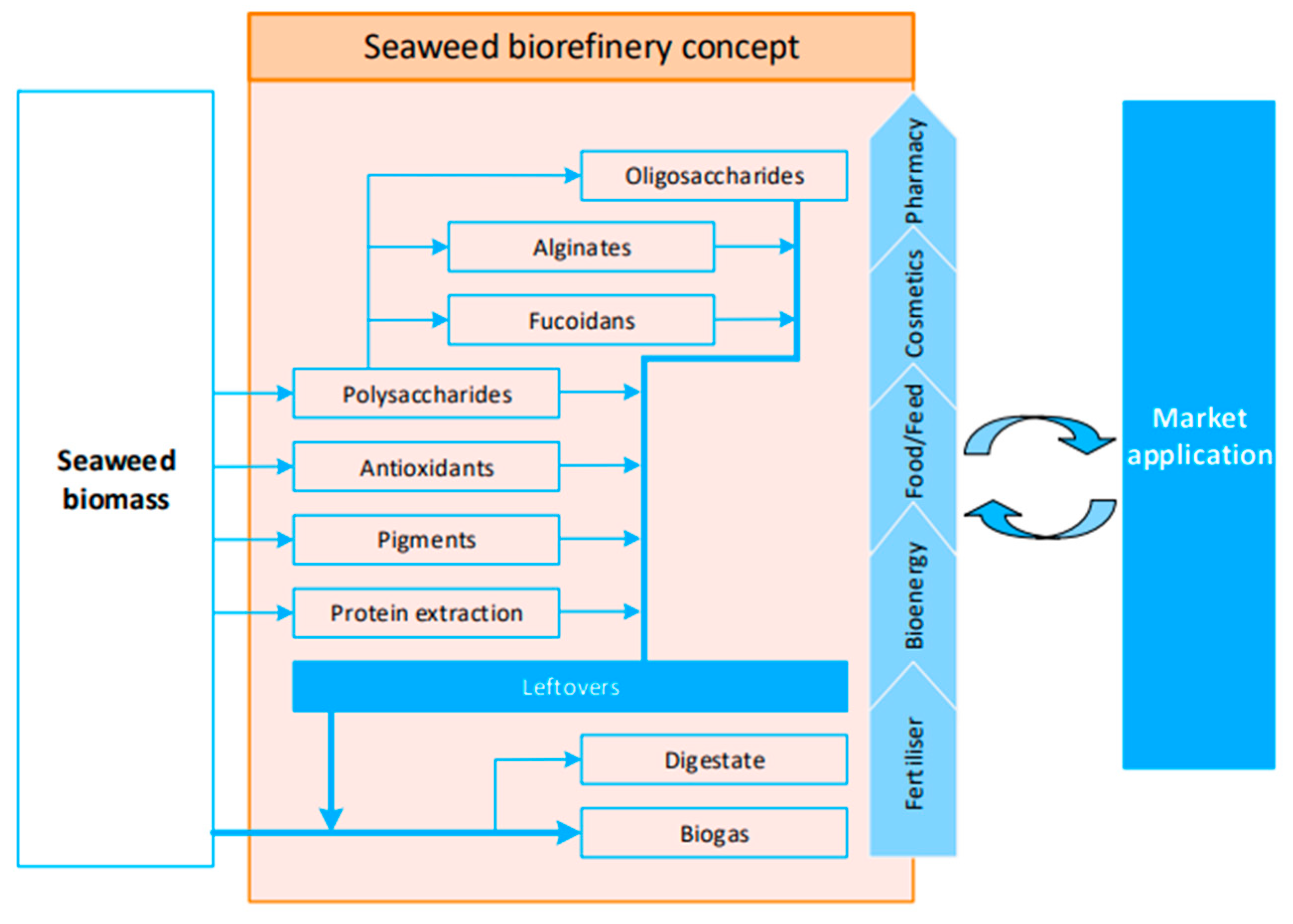 Marinedrugs 21 00620 g002