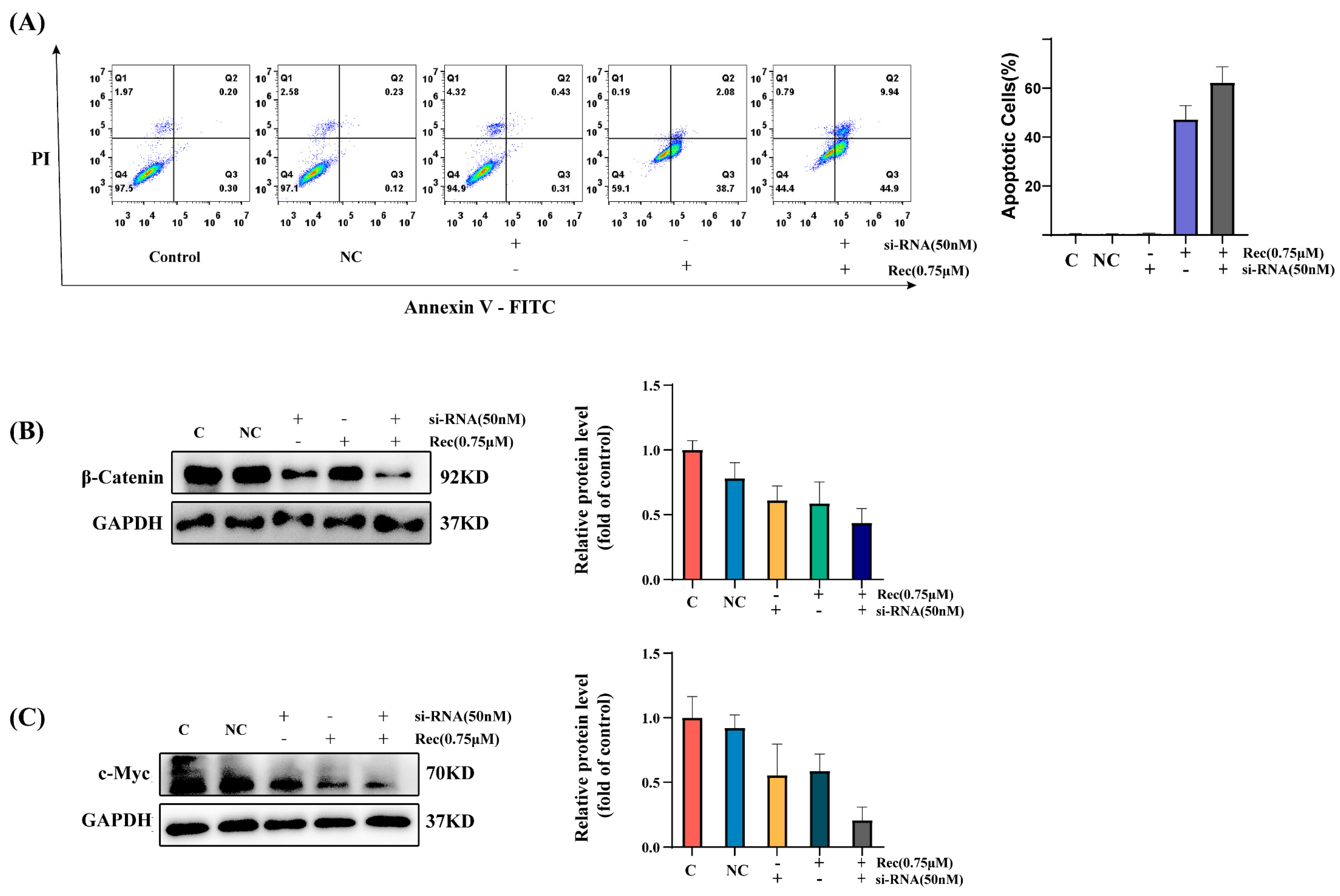 Marinedrugs 21 00622 g005 Marinedrugs 21 00622 g005