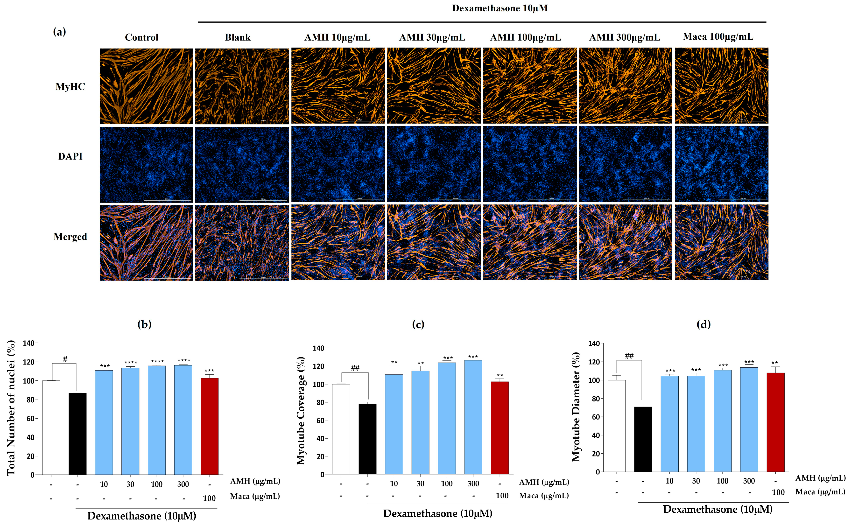 Marinedrugs 21 00623 g005