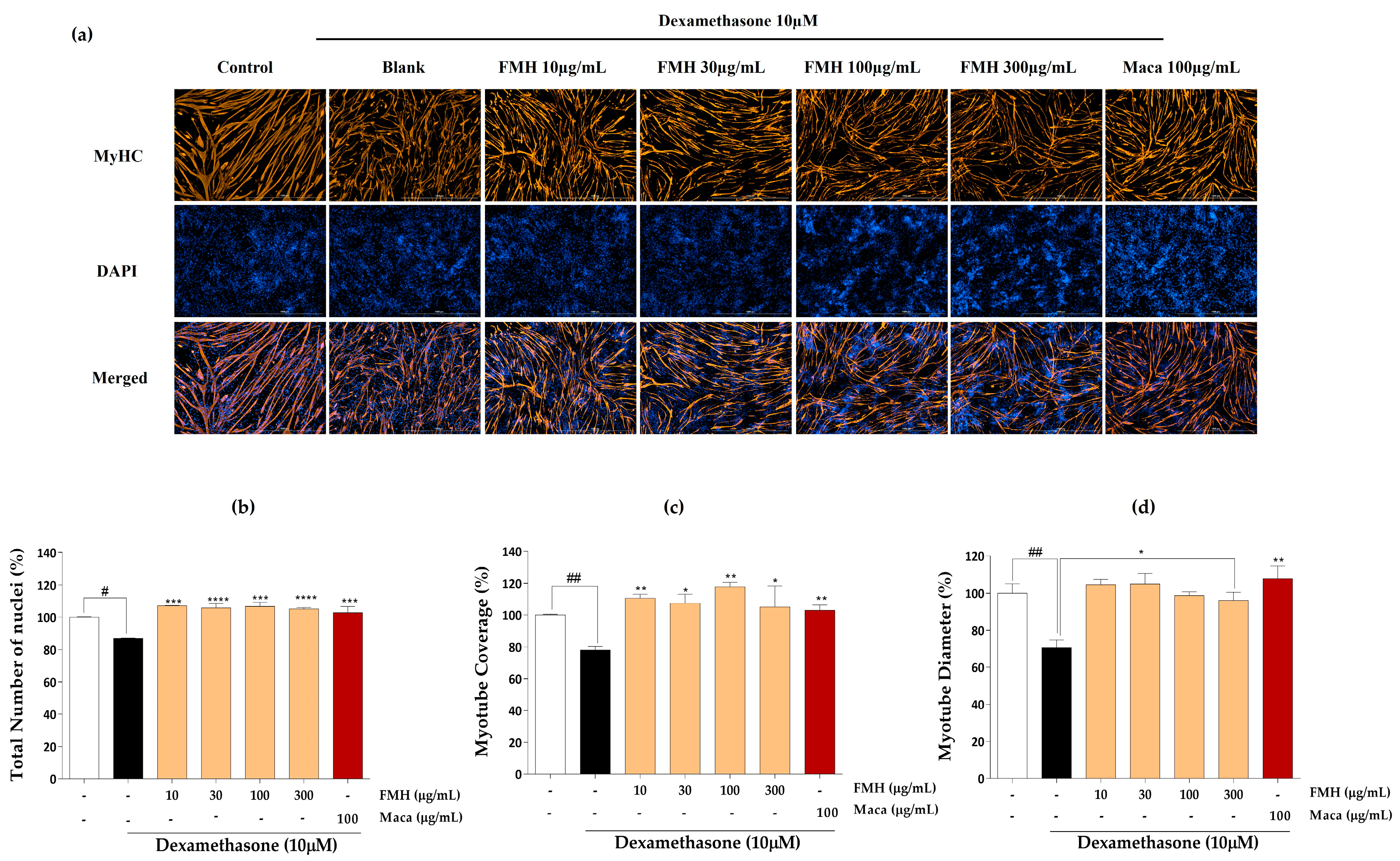Marinedrugs 21 00623 g006