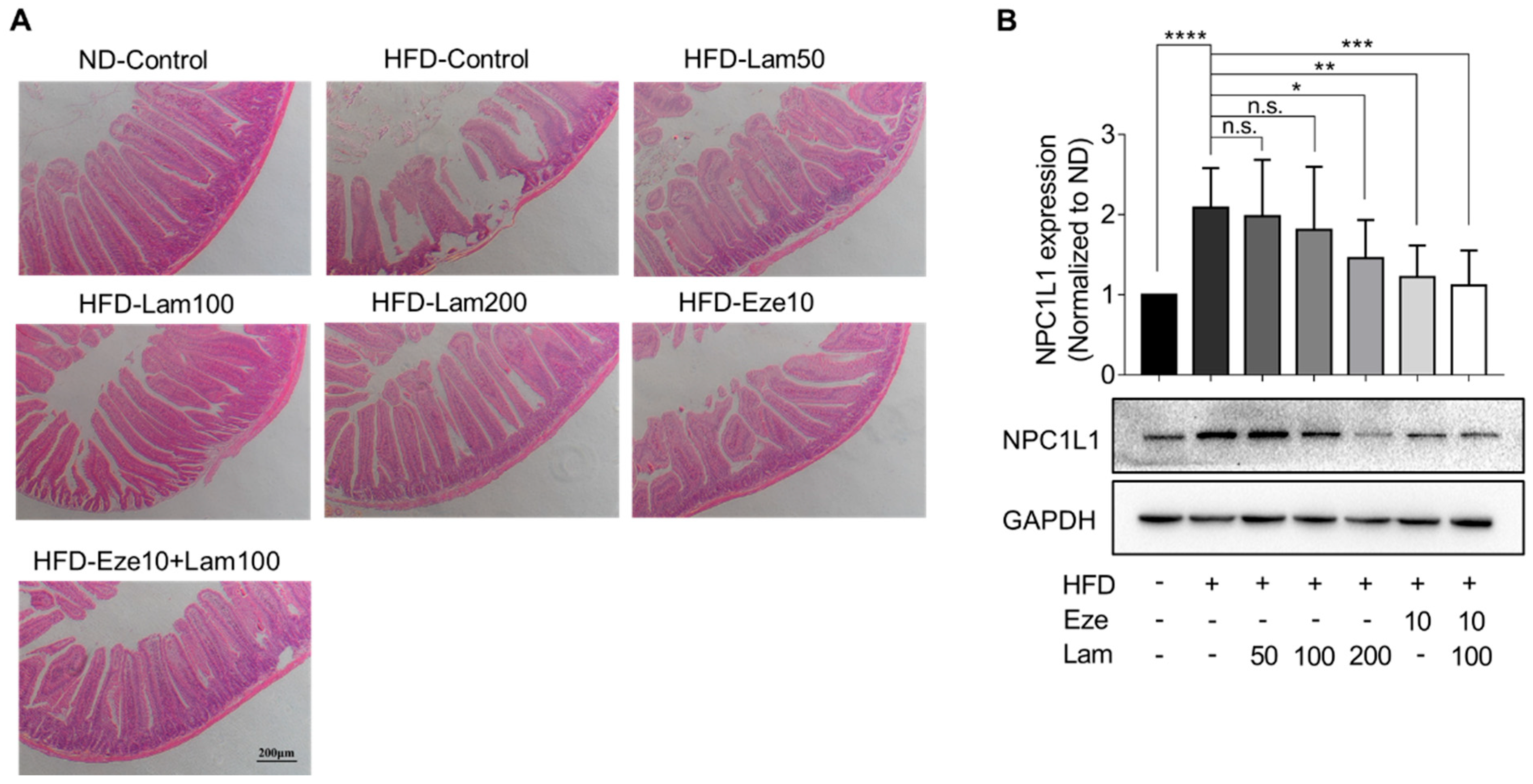 Marinedrugs 21 00624 g007