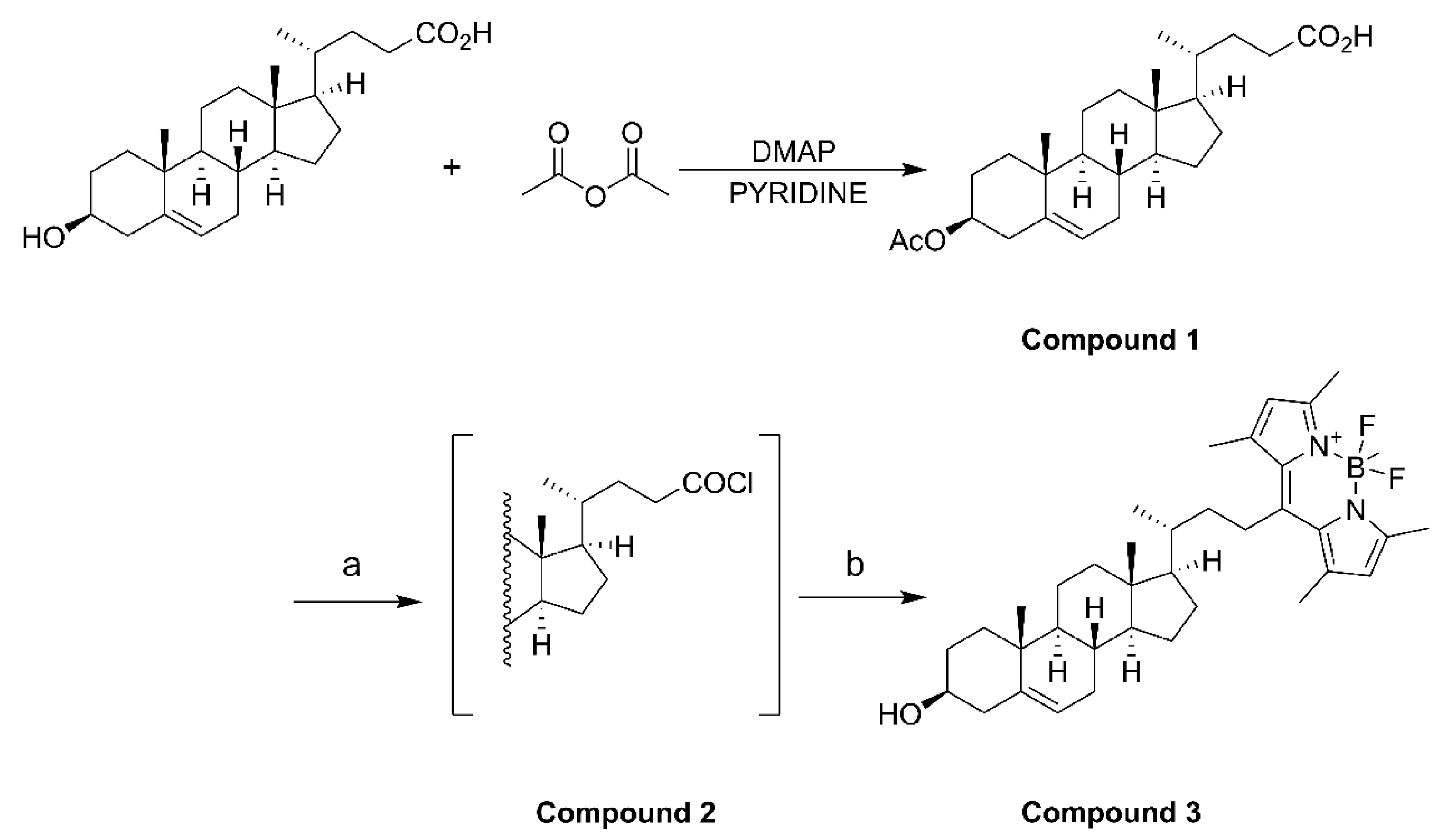 Marinedrugs 21 00624 sch001
